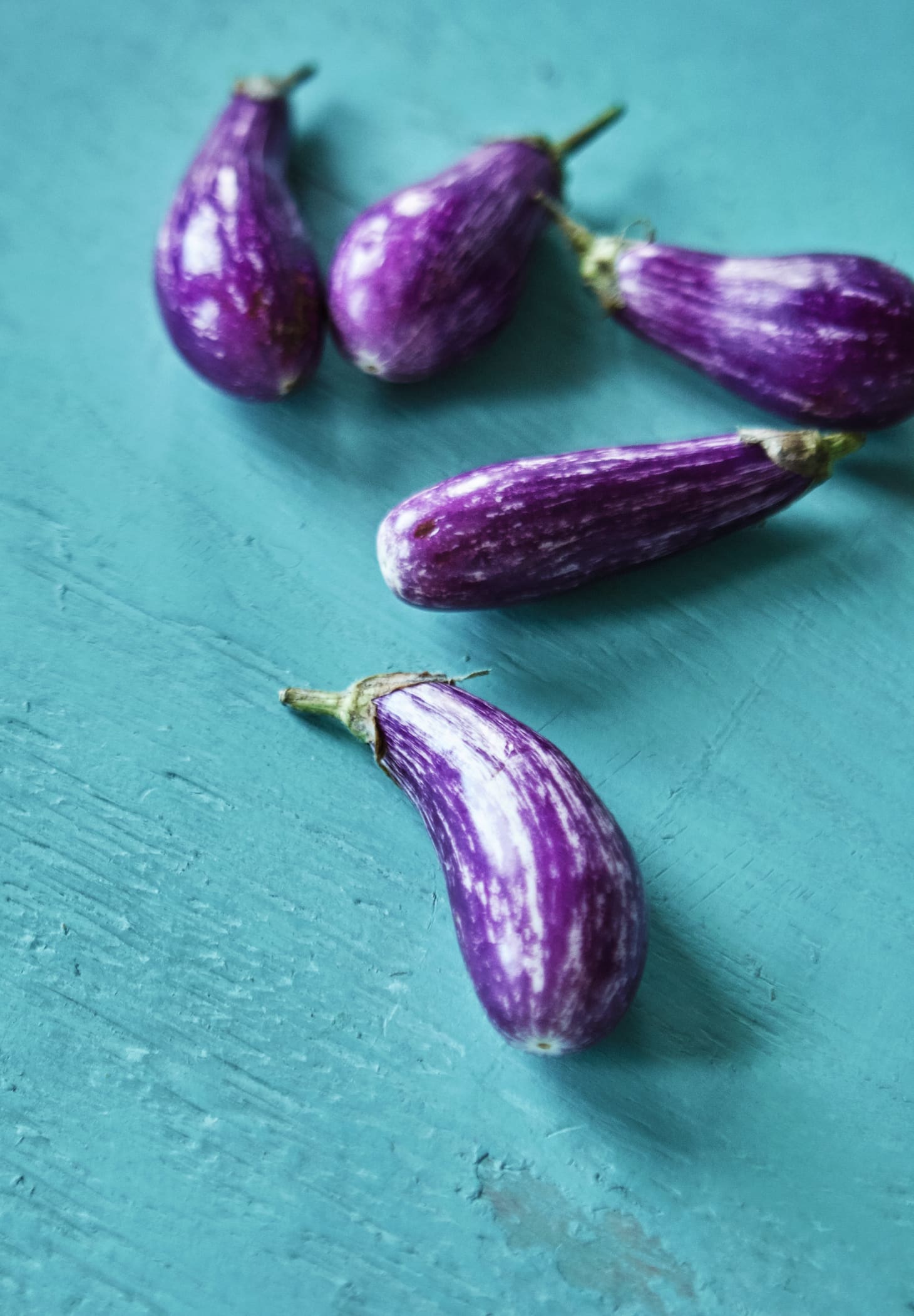 Eggplant Color Chart