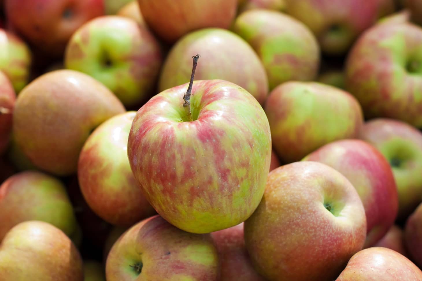 The 5 Best Apples For Baking Kitchn