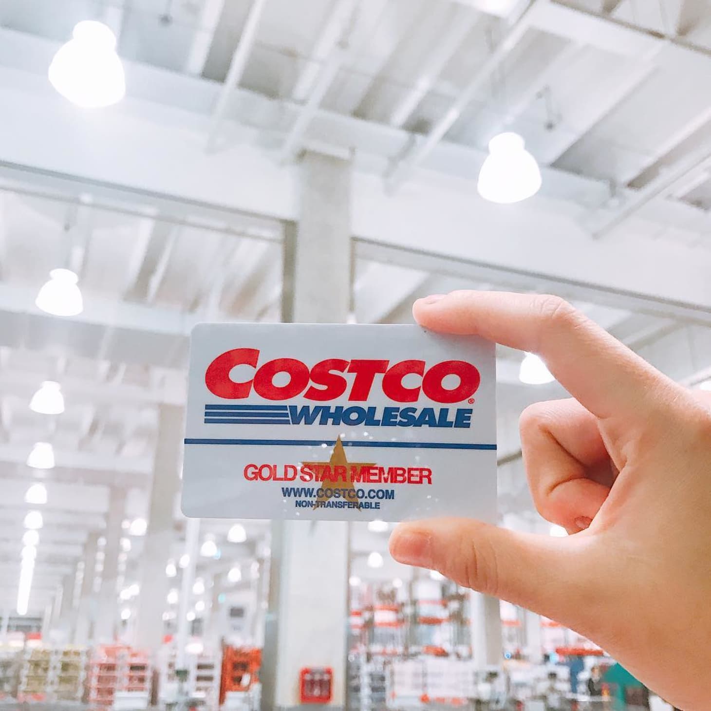 Costco Membership Cancellation Refund Experience Kitchn