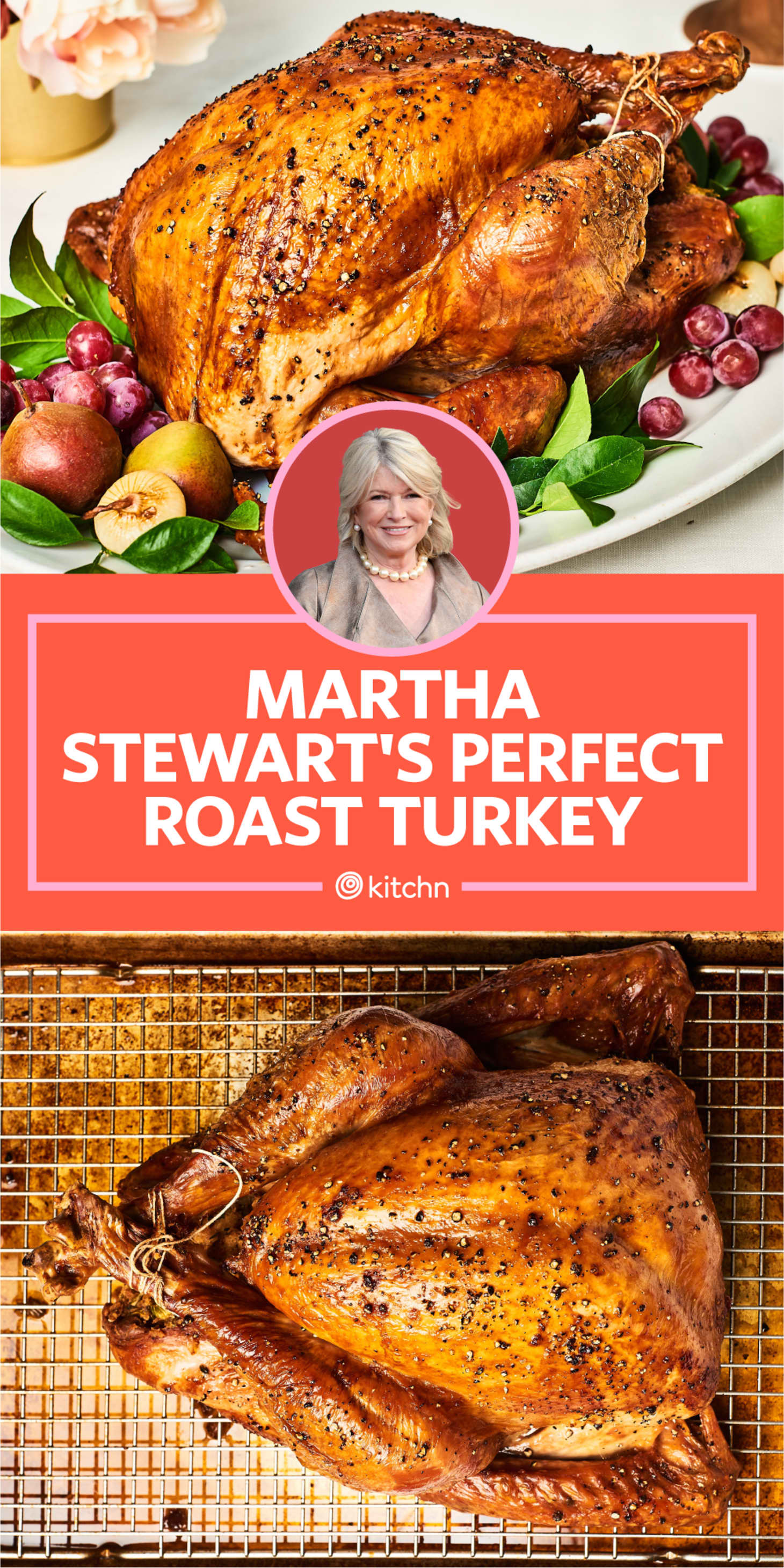 I Tried Martha Stewarts Perfect Roast Turkey And Brine Kitchn