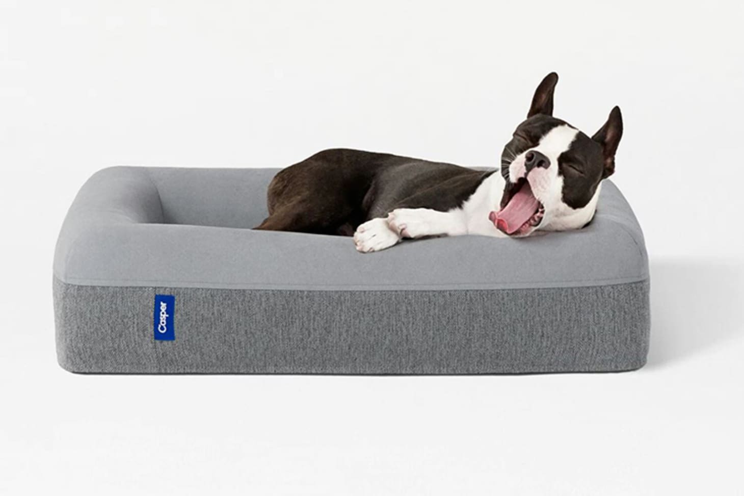 The Best Stylish Dog Beds Of 2019 | Apartment Therapy