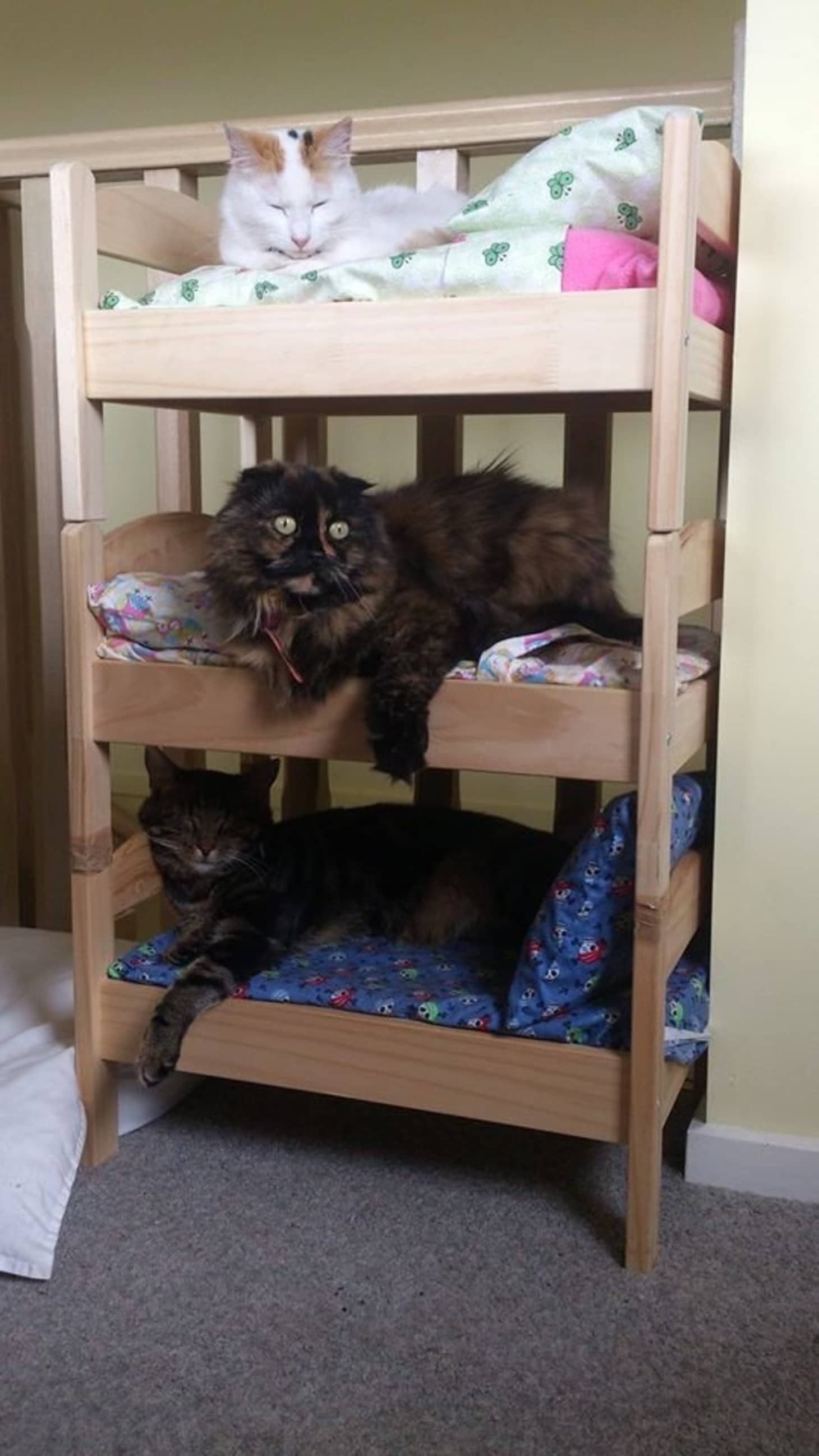7 IKEA Hacks Your Cats Will Love Apartment Therapy