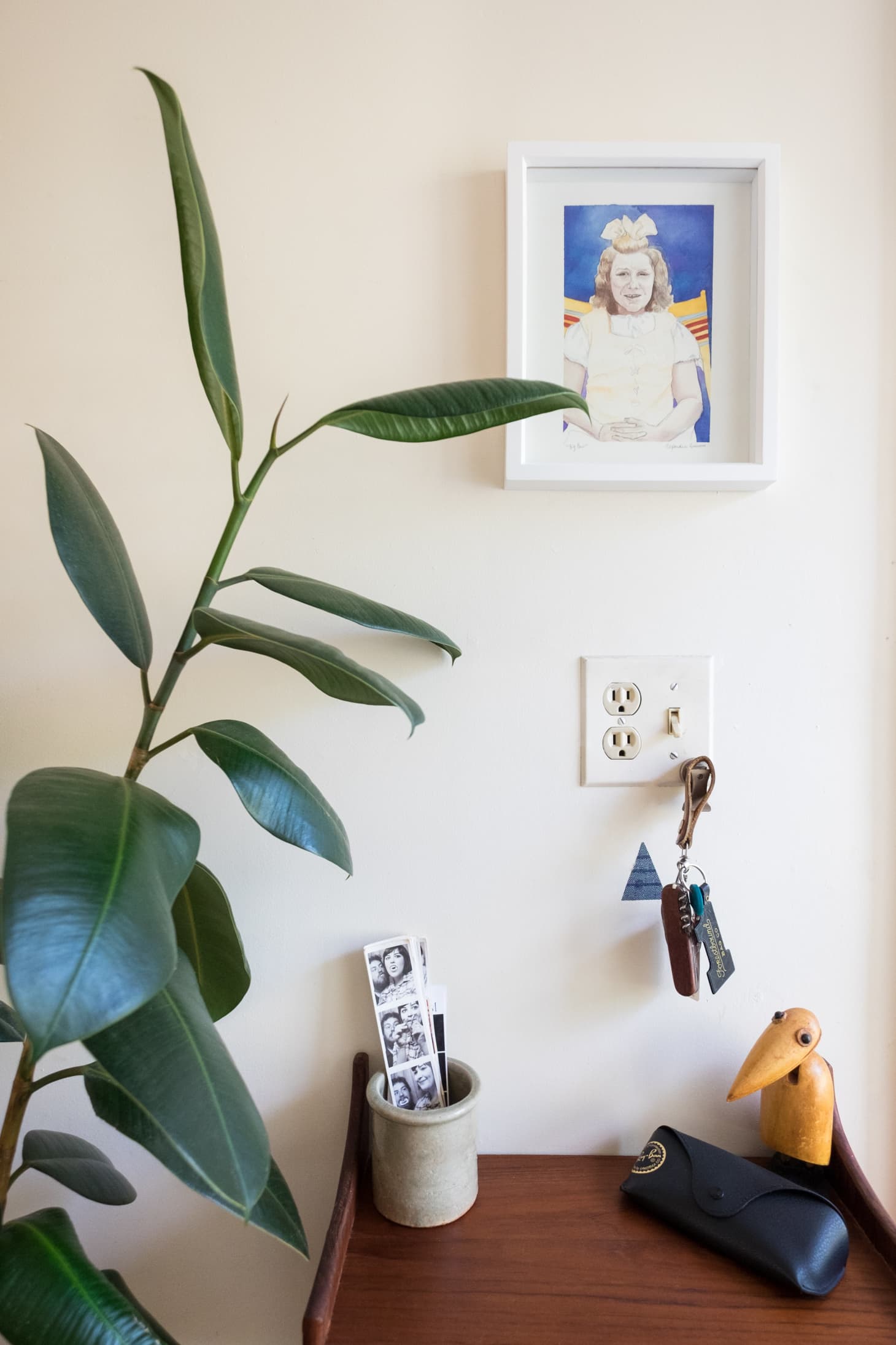 Rubber Plant Our Best Tips For Growing and Care