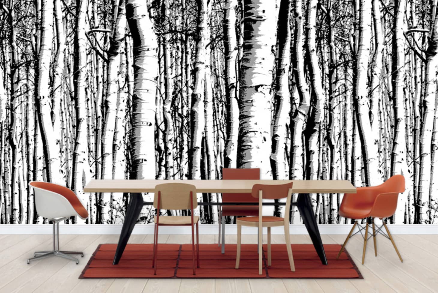 10 Excellent Sources for Buying Birch Tree Wallpaper | Apartment Therapy