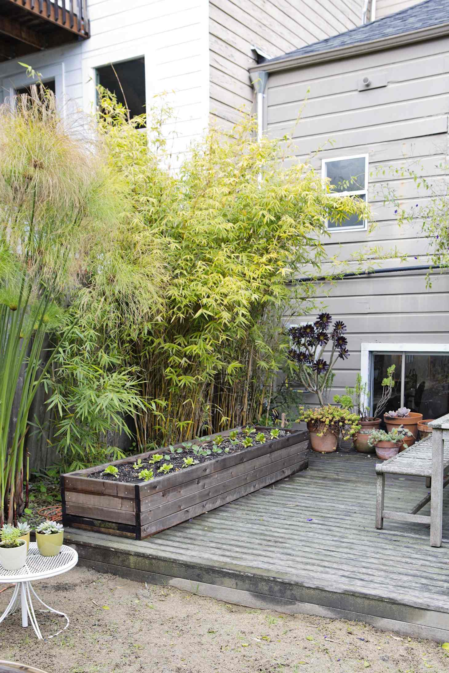 Privacy Fences & Screens You Can Make Yourself Apartment