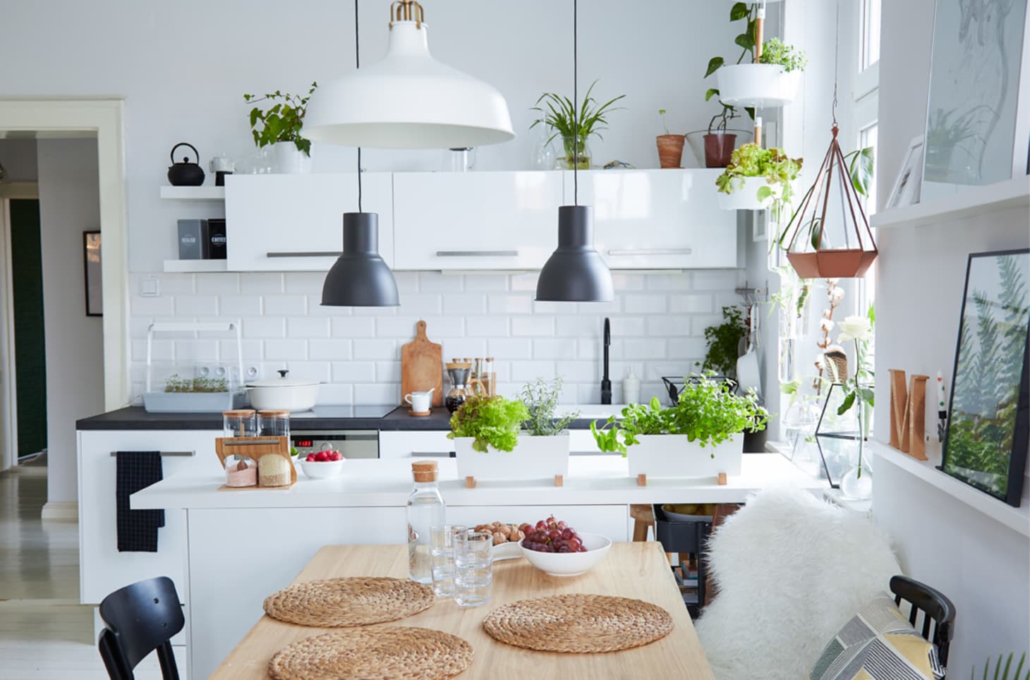 kitchen design with plants