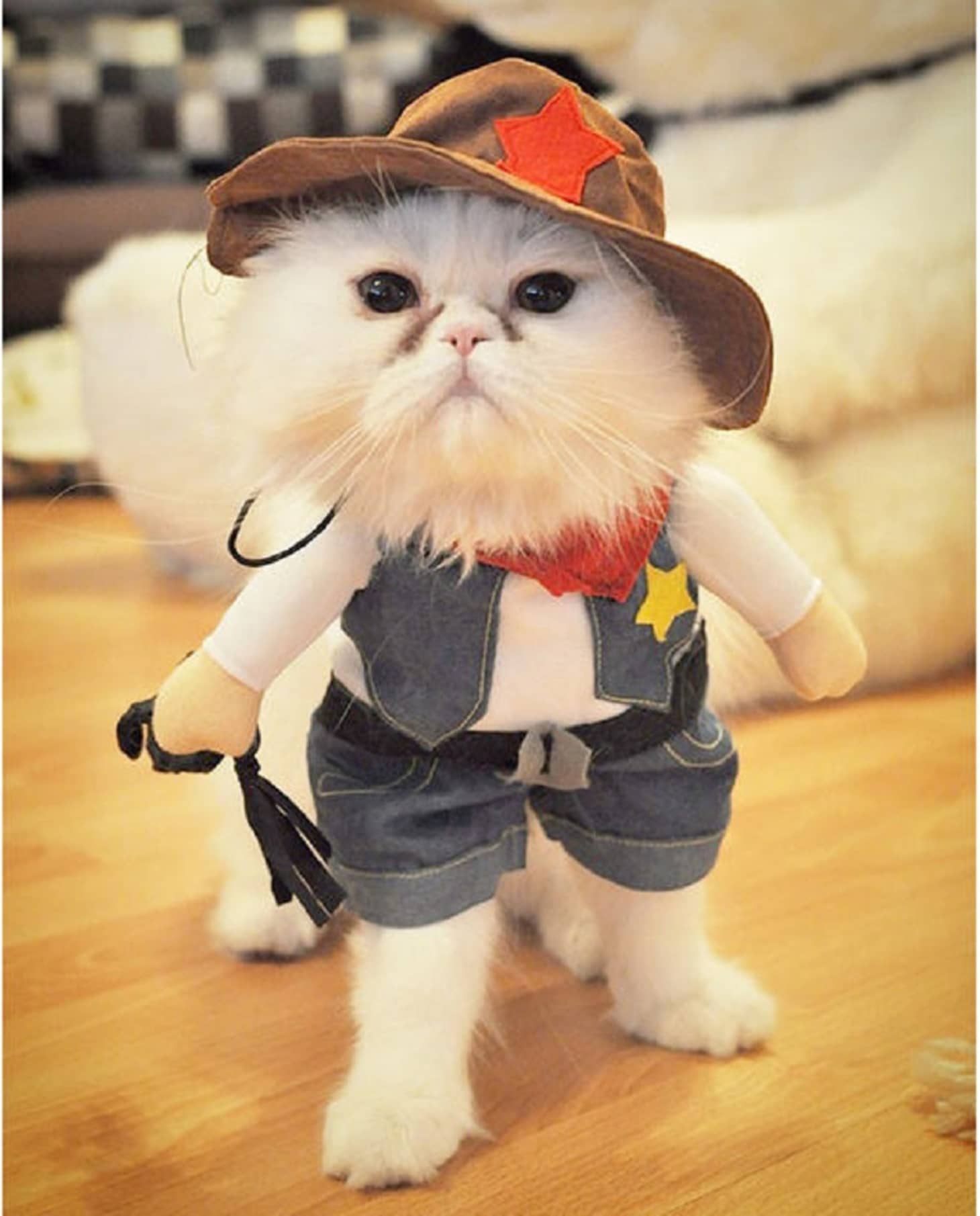 20 Great Cat & Dog Costumes From Etsy | Apartment Therapy