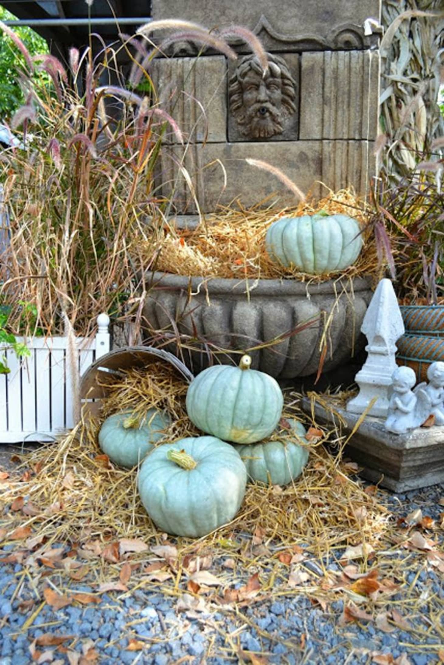Where to Find Light Green Pumpkins | Apartment Therapy