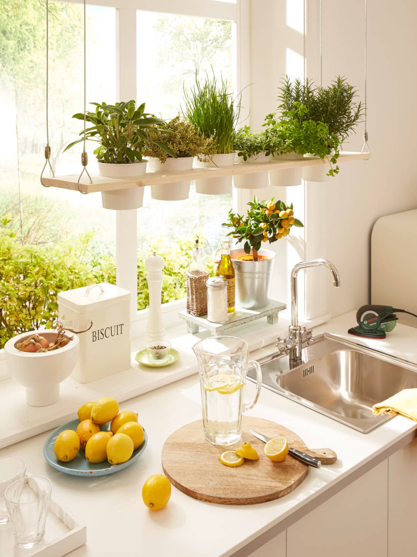 Creative Ways to Make Room for Plants  in the Kitchen  