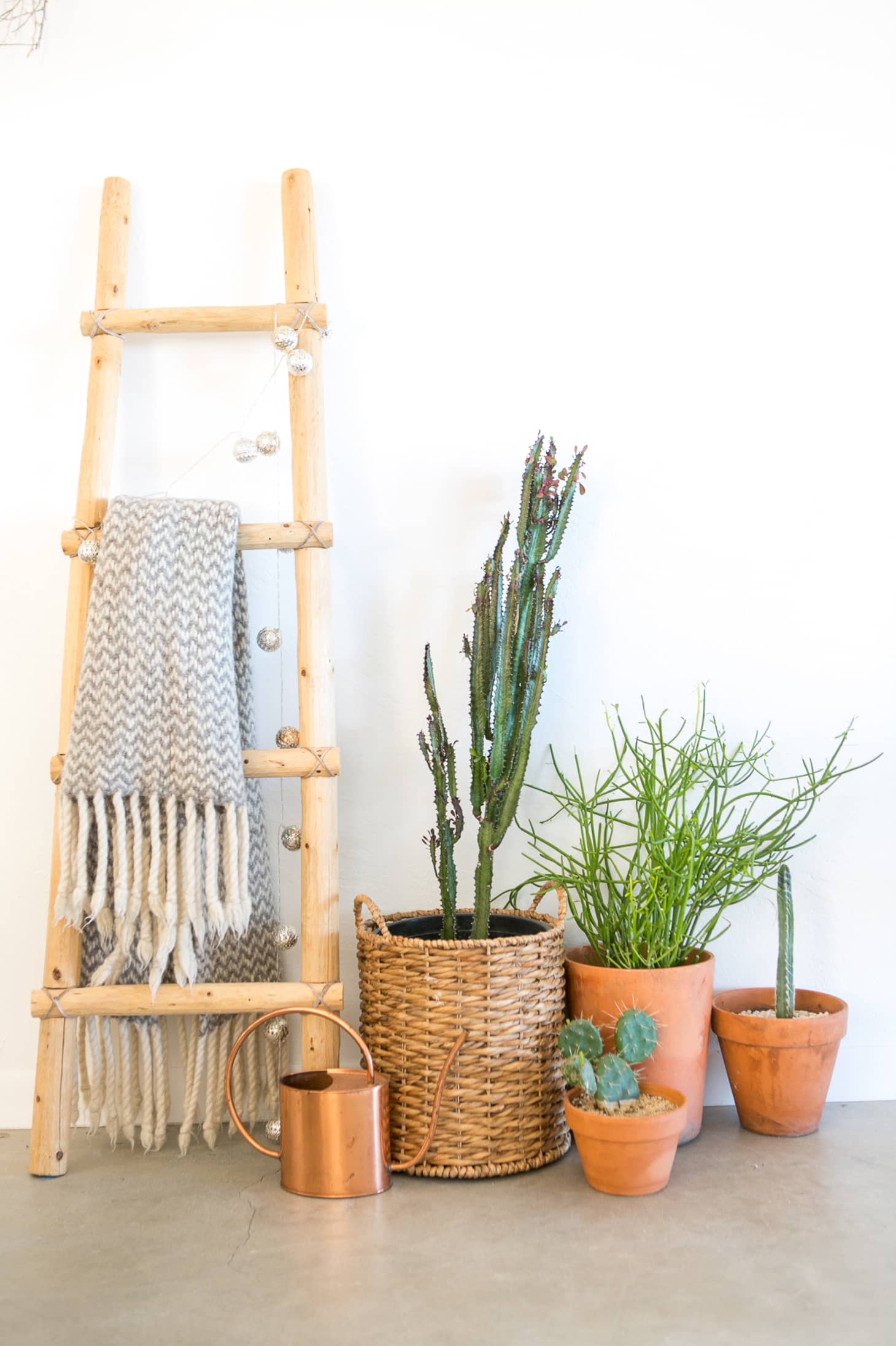 How to Care for Plants in Pots without Drainage Holes | Apartment Therapy