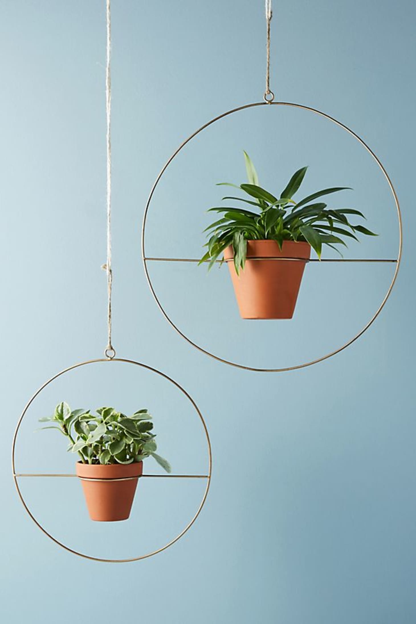 The Best Stylish Indoor Hanging Planters of 2018