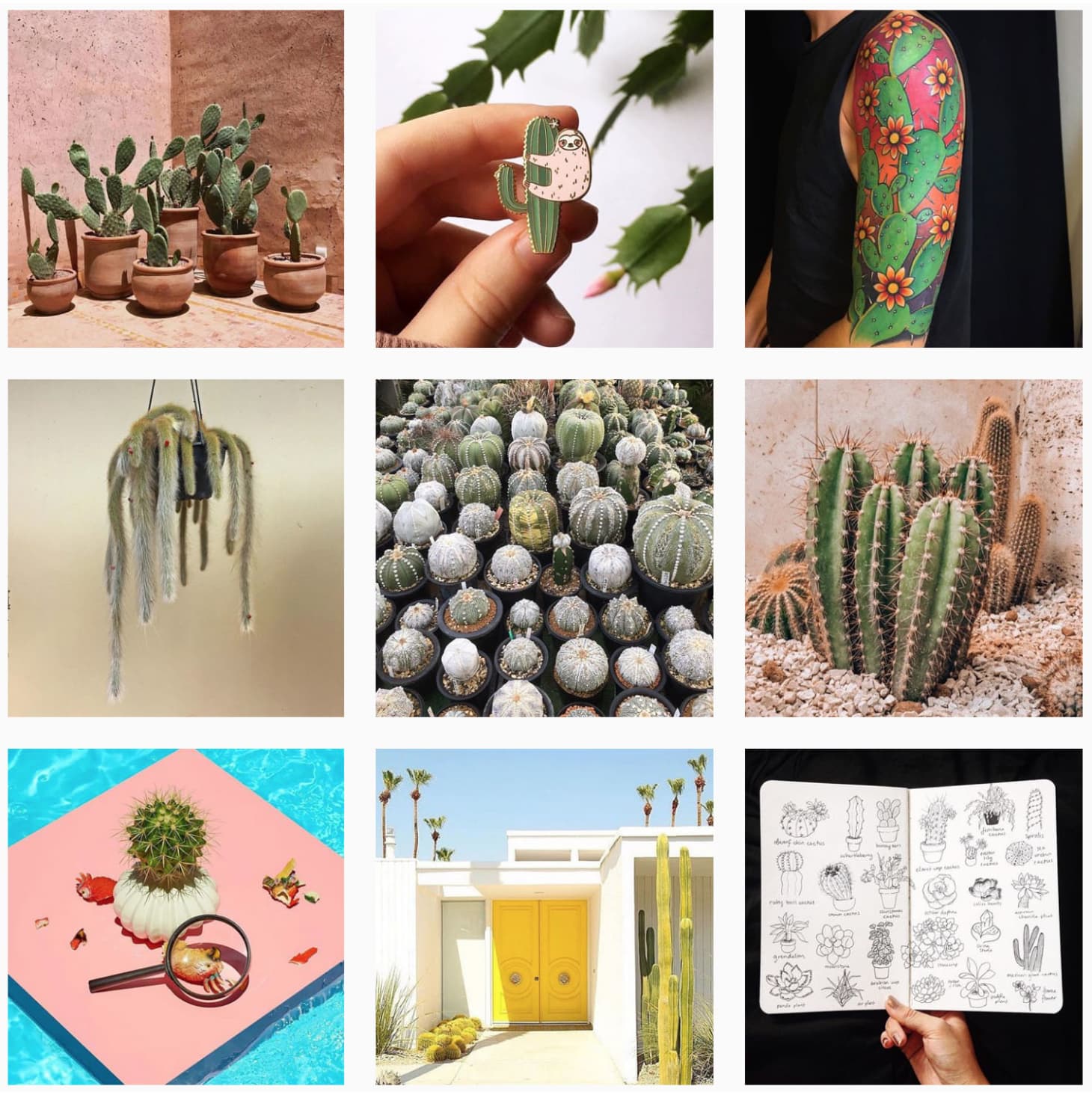 Best Plant Accounts to Follow on Instagram Apartment Therapy