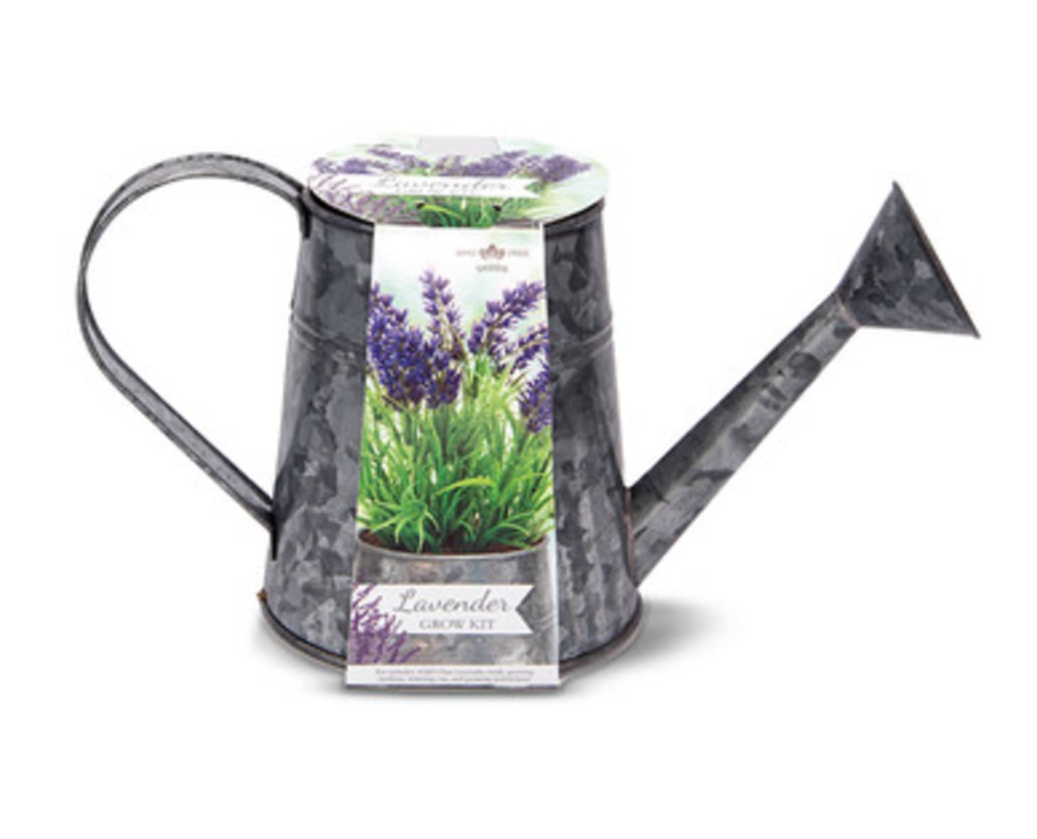 Aldi Herbs Kit Watering Can Sale Apartment Therapy