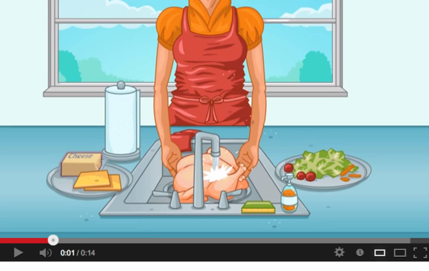 Why You Shouldn't Wash Raw Chicken Kitchn