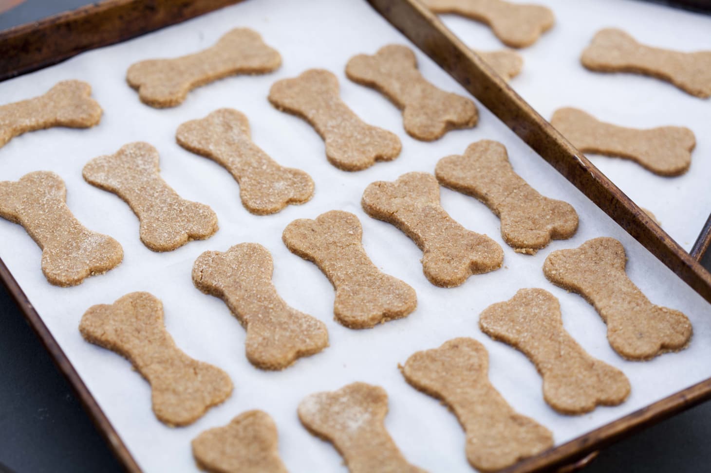 Cookie + Gift Tag: Homemade Dog Treats and Tags for Gifting | Kitchn