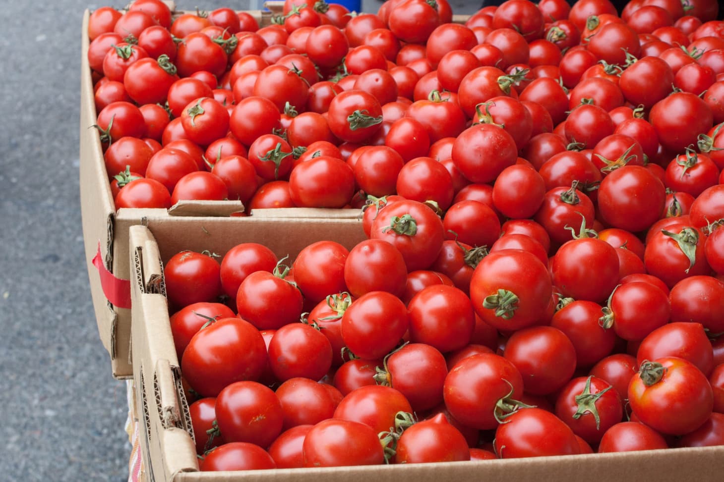 The Best Way to Store Tomatoes Kitchn