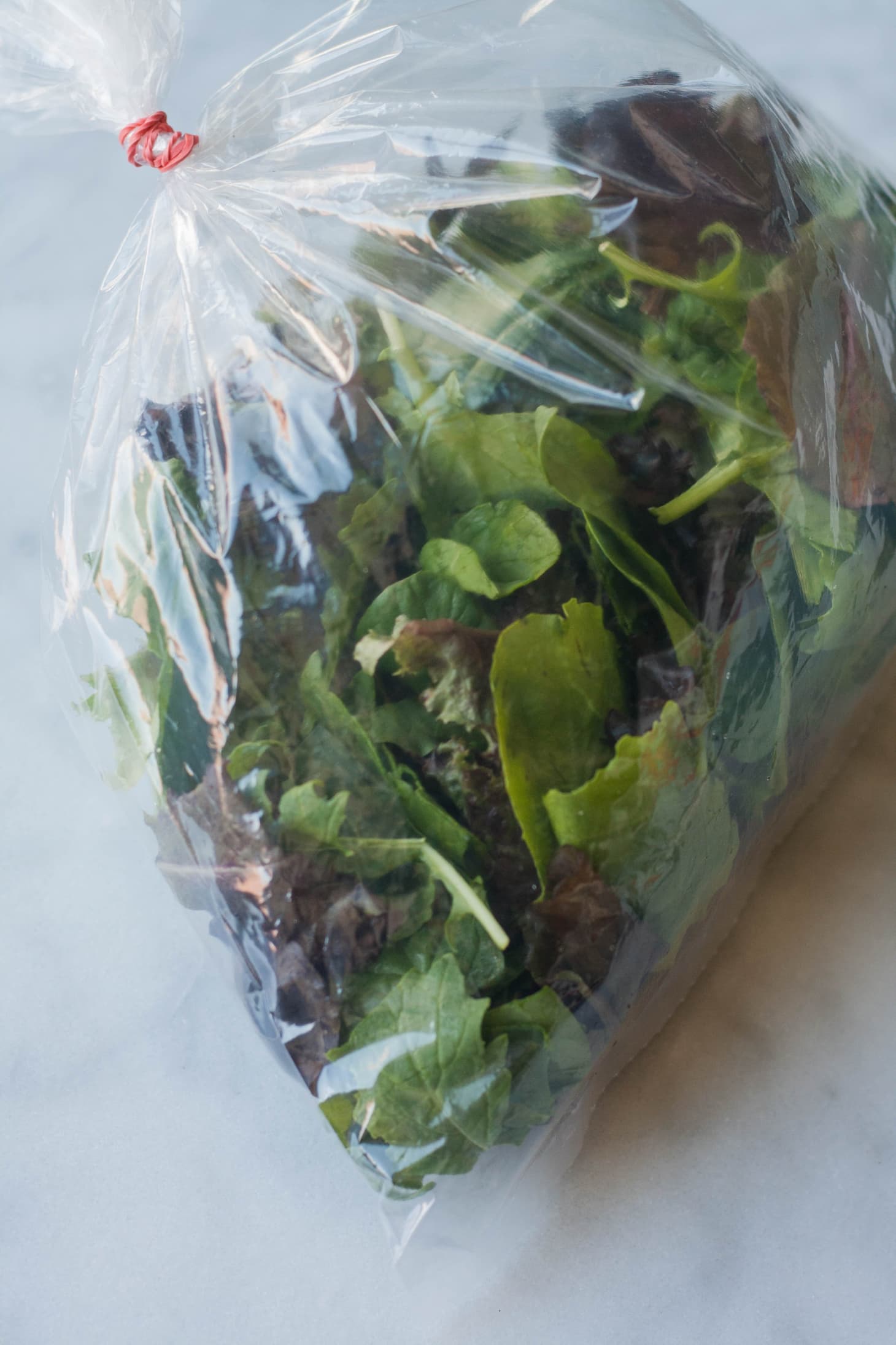 The Best Way to Keep Salad Greens Fresh Kitchn