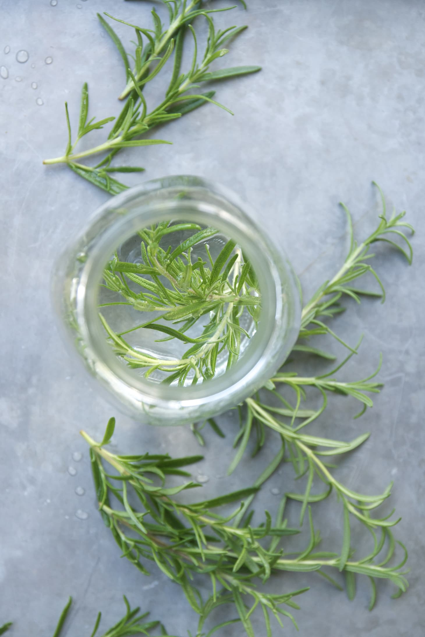 4 Ways to Preserve Fresh Rosemary Kitchn