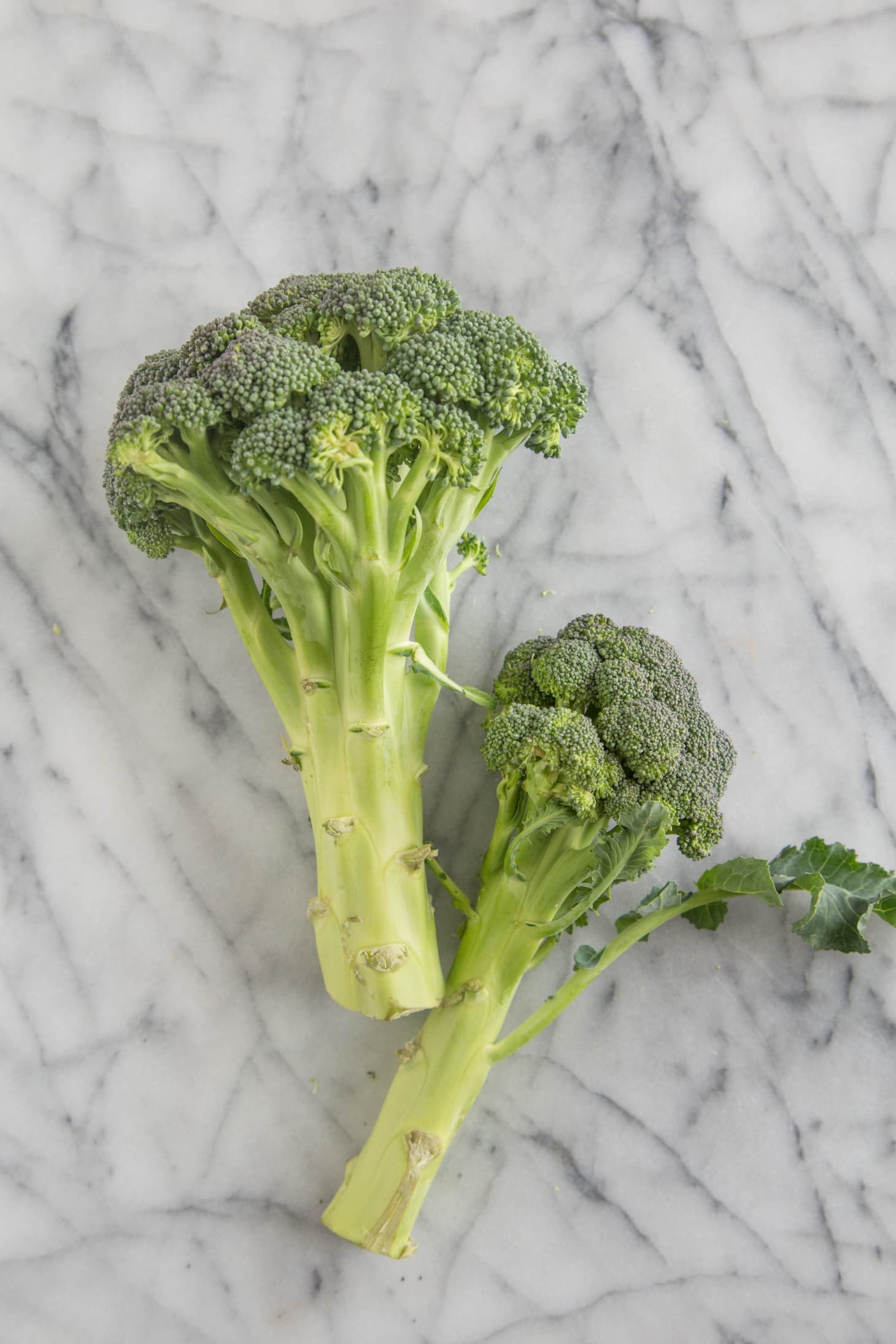 What’s the Difference Between Broccoli, Broccolini, Broccoli Rabe, and