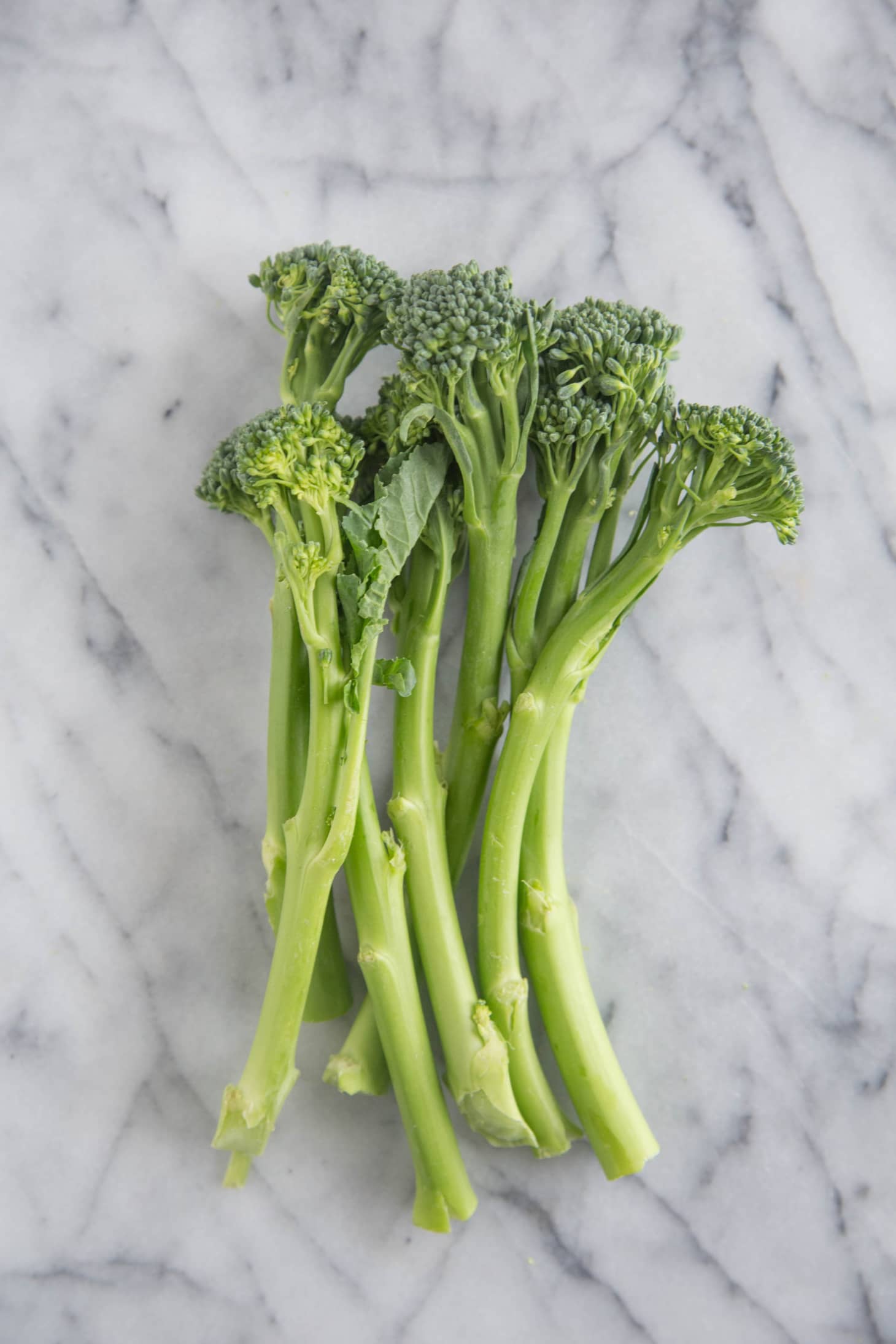 What’s the Difference Between Broccoli, Broccolini, Broccoli Rabe, and ...