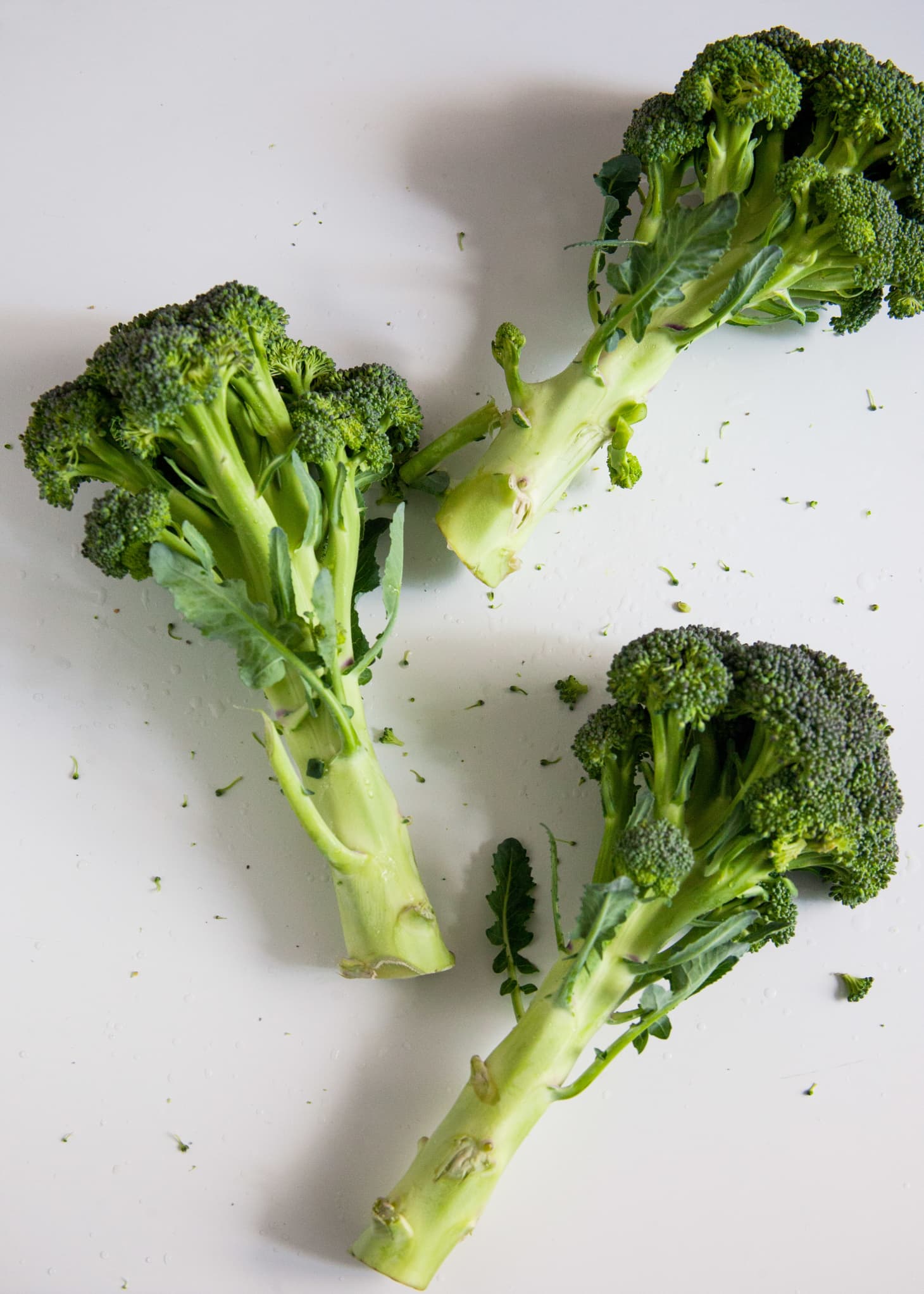 Here’s What 1 Pound of Broccoli Looks Like Kitchn