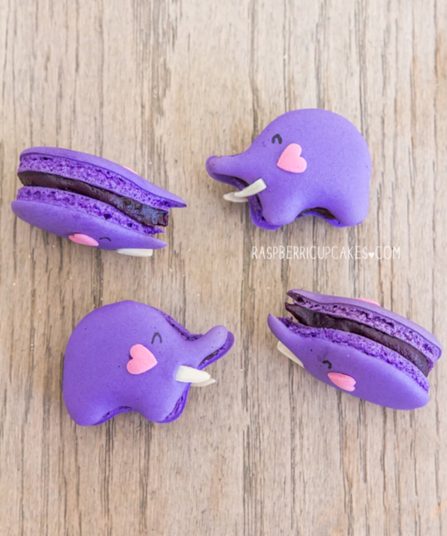 macaron stuffed animal