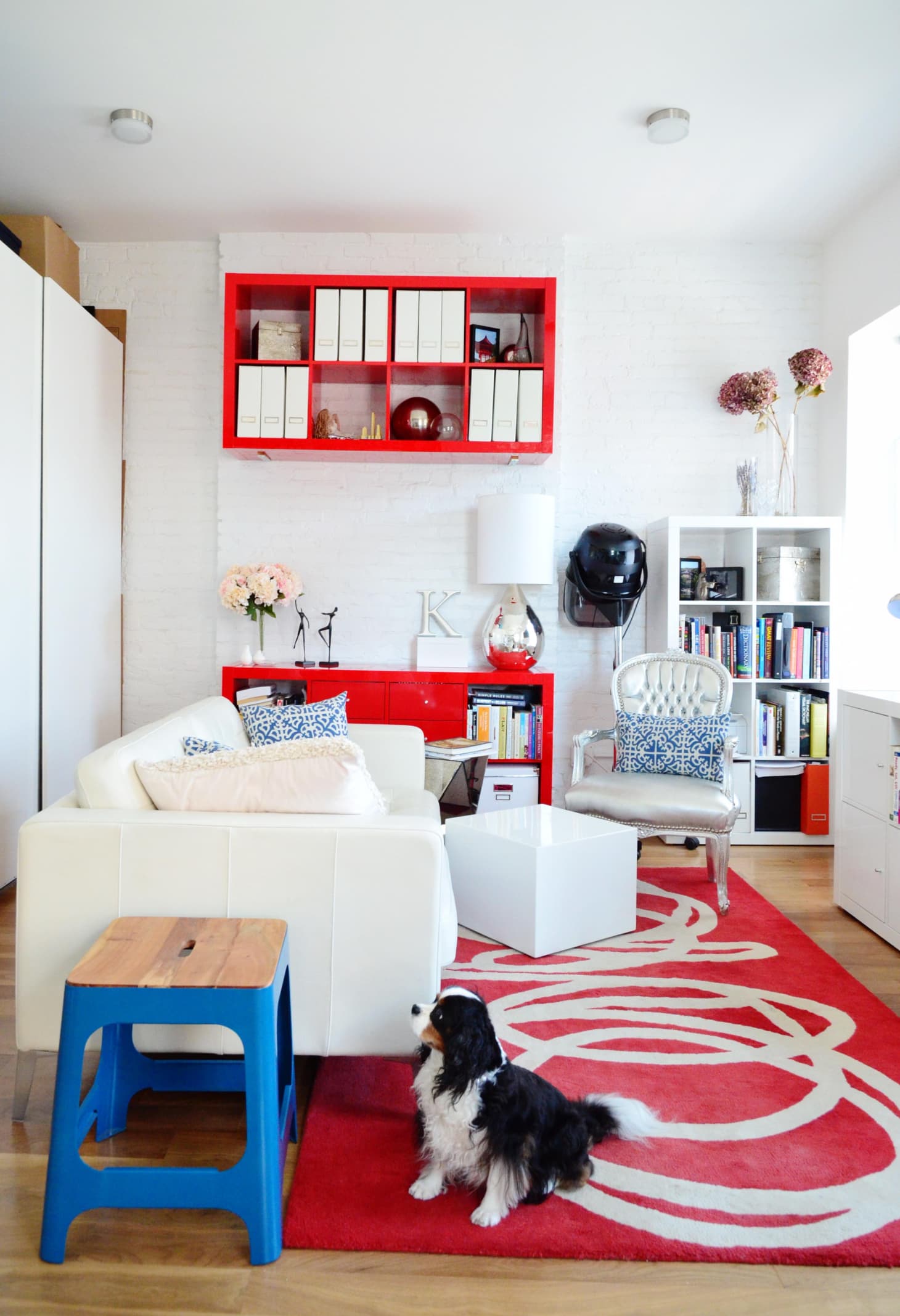 8 Best Apartment Dogs Good Dog Breeds for Small Apartments