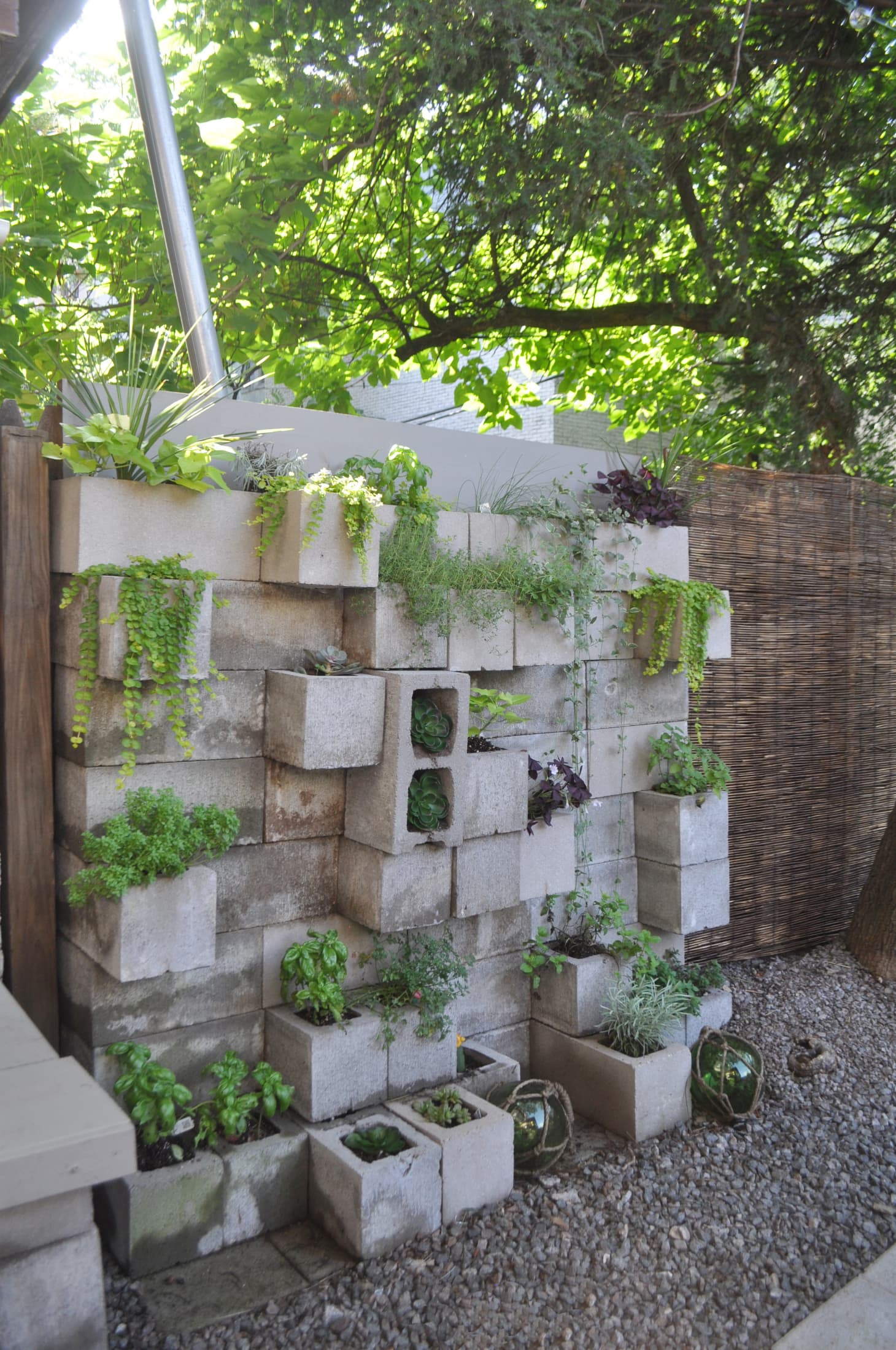 Indoors or Out Tips for Creating a Vertical Garden Apartment Therapy