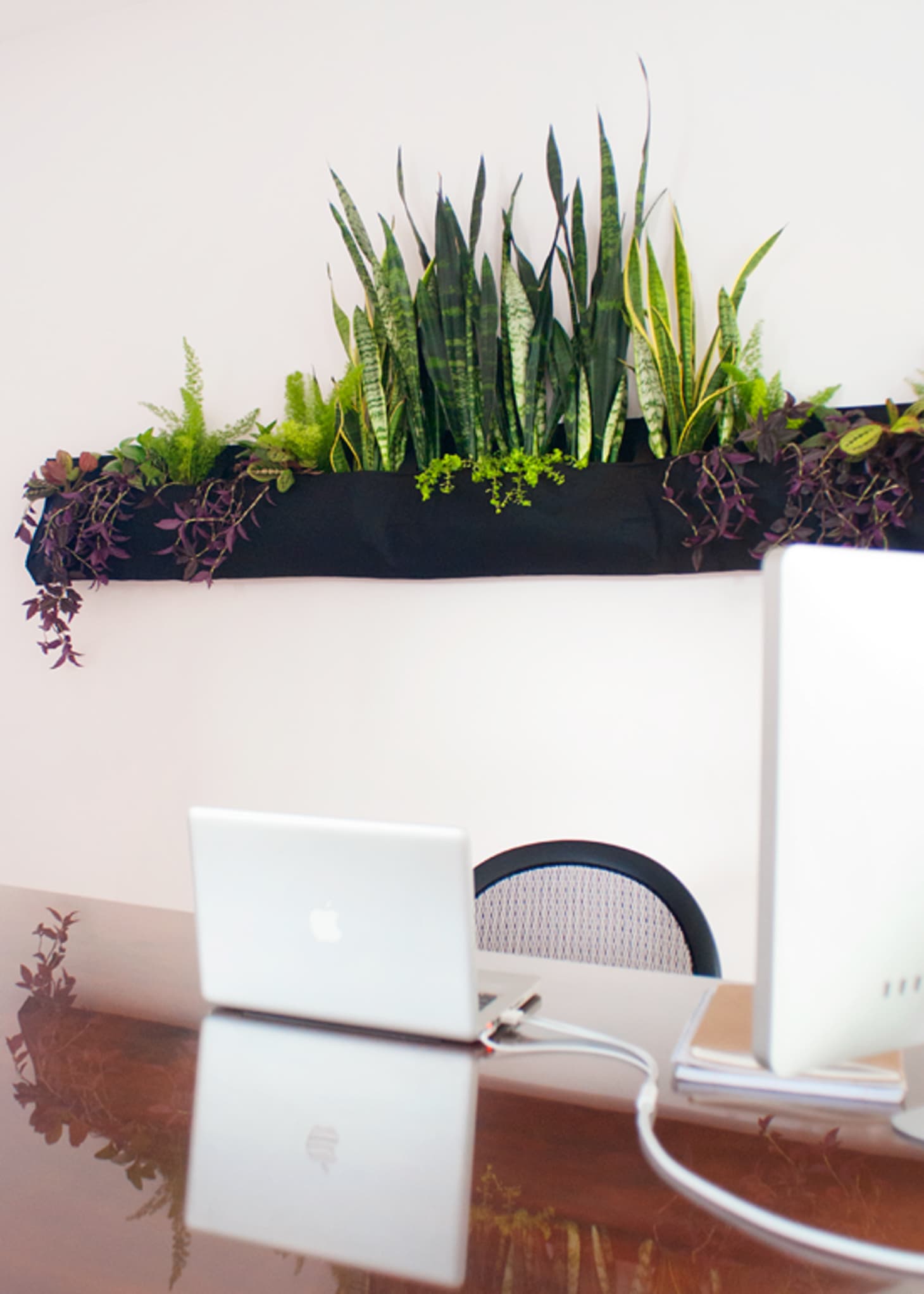 15 Indoor Garden Ideas for Wannabe Gardeners in Small Spaces