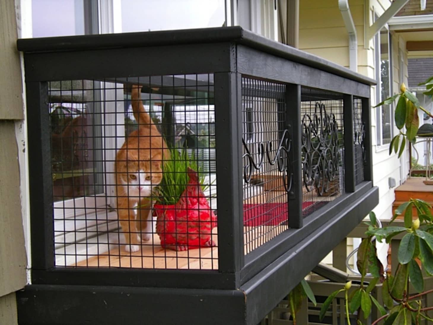 A Catio is the Coolest Thing You Never Knew Your Cat Needed Apartment