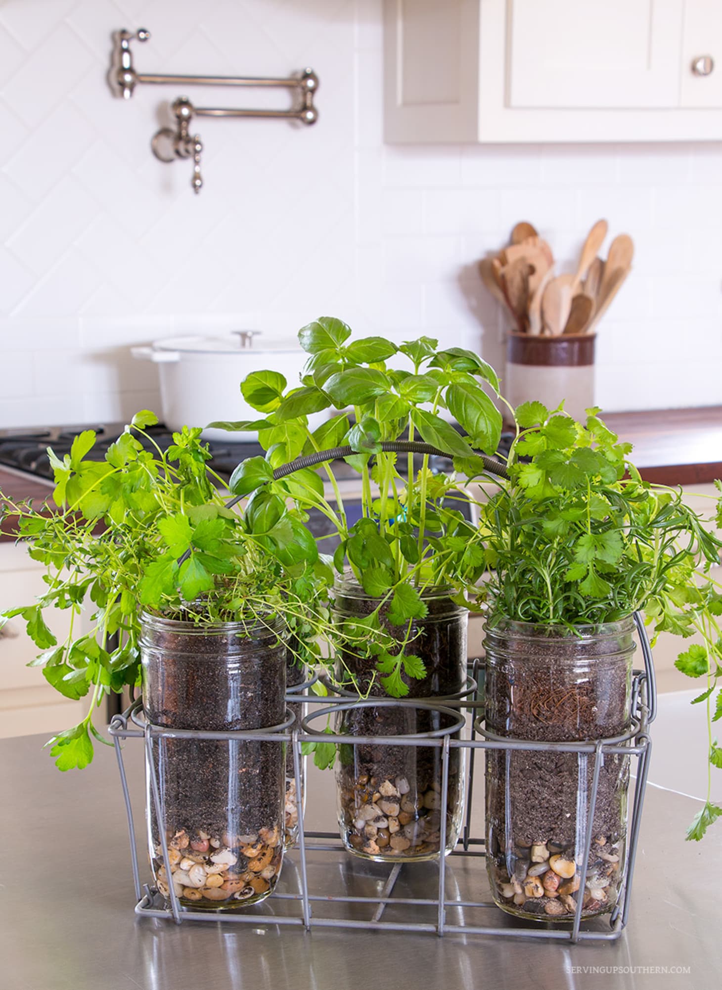 How do I make an indoor herb garden?