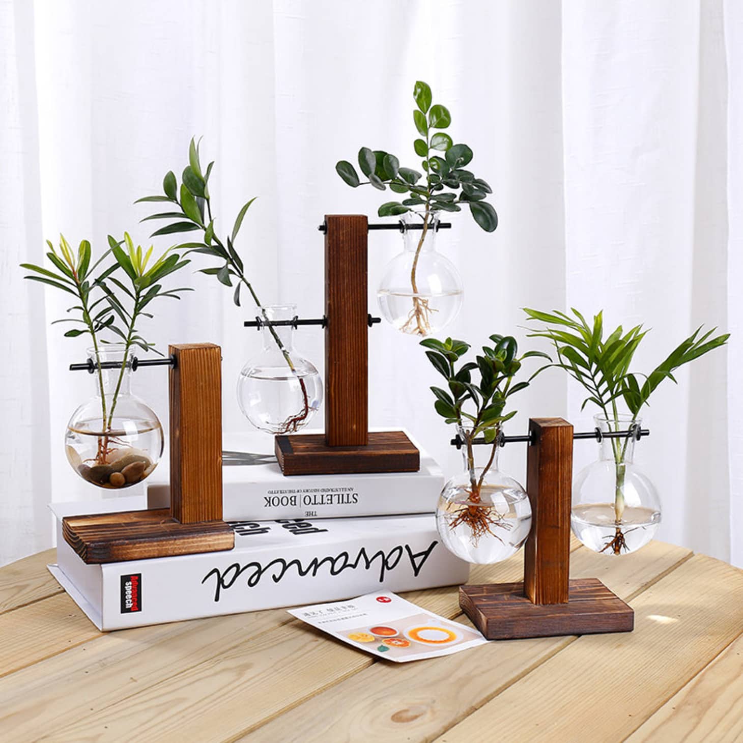 Hydroponic Gardening How to Grow Plants In Water Apartment Therapy