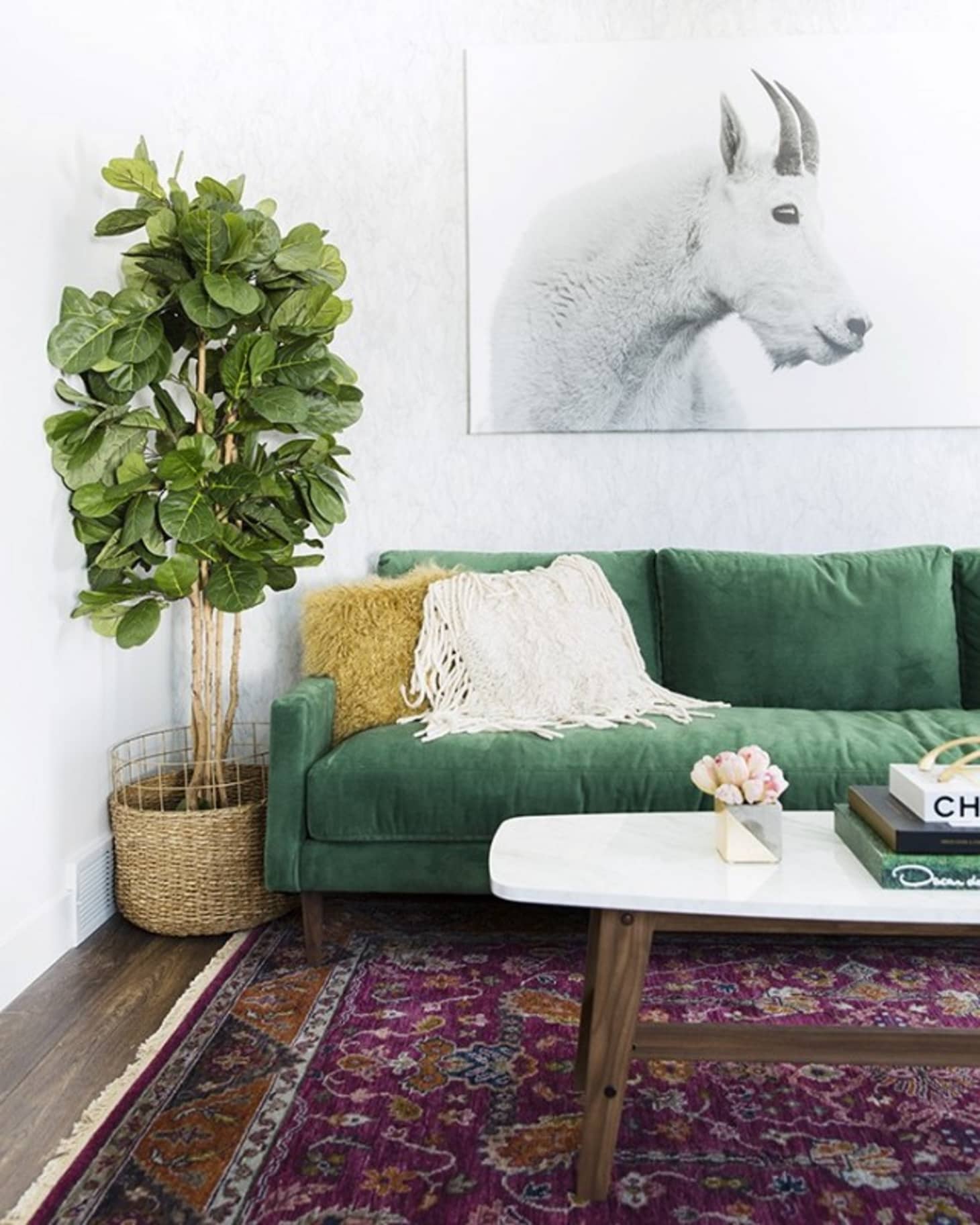 The Couch Trend for 2017 Stylish Emerald Green Sofas Apartment Therapy