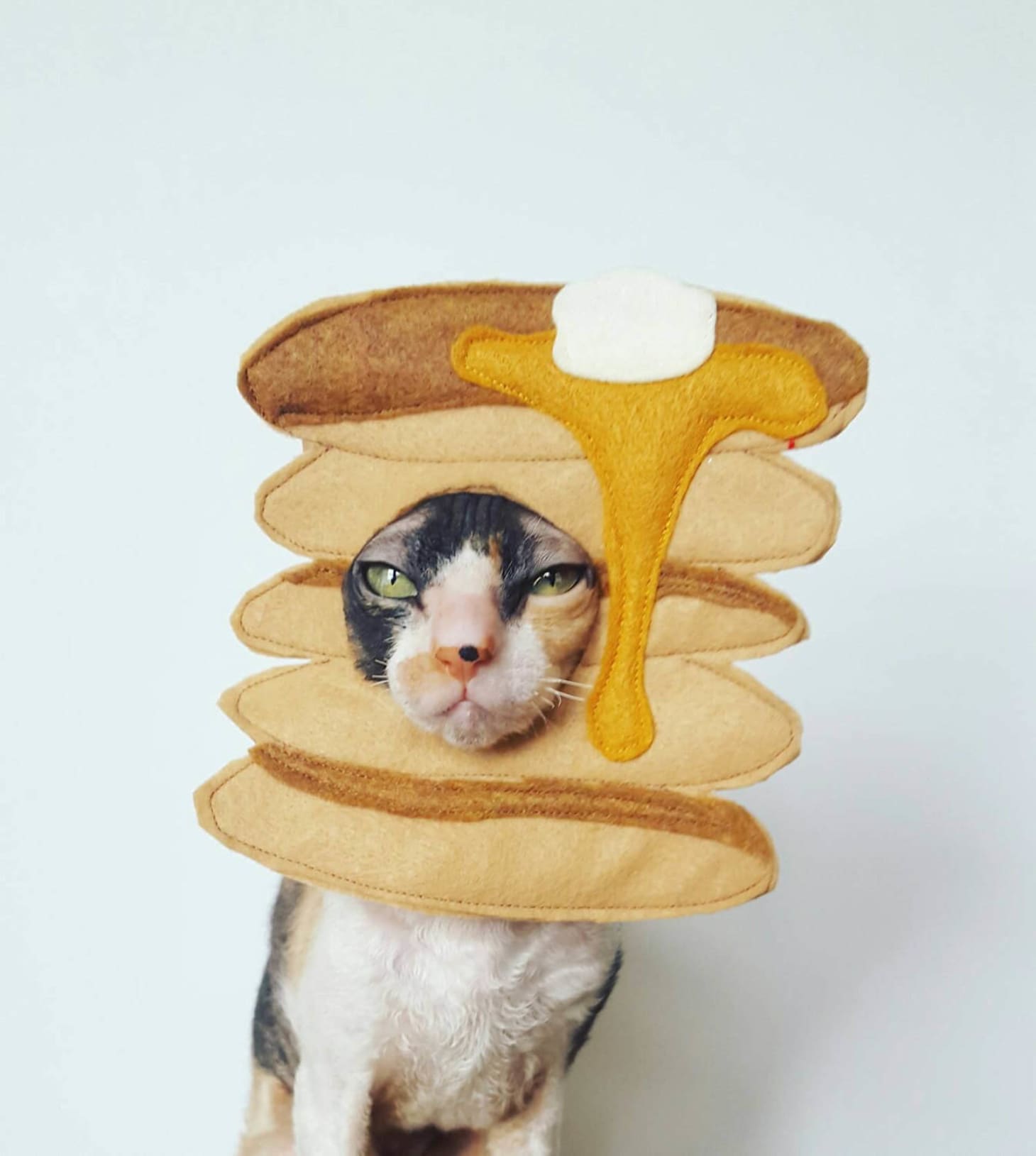 Cat Dog Costumes
 20 Great Cat & Dog Costumes From Etsy