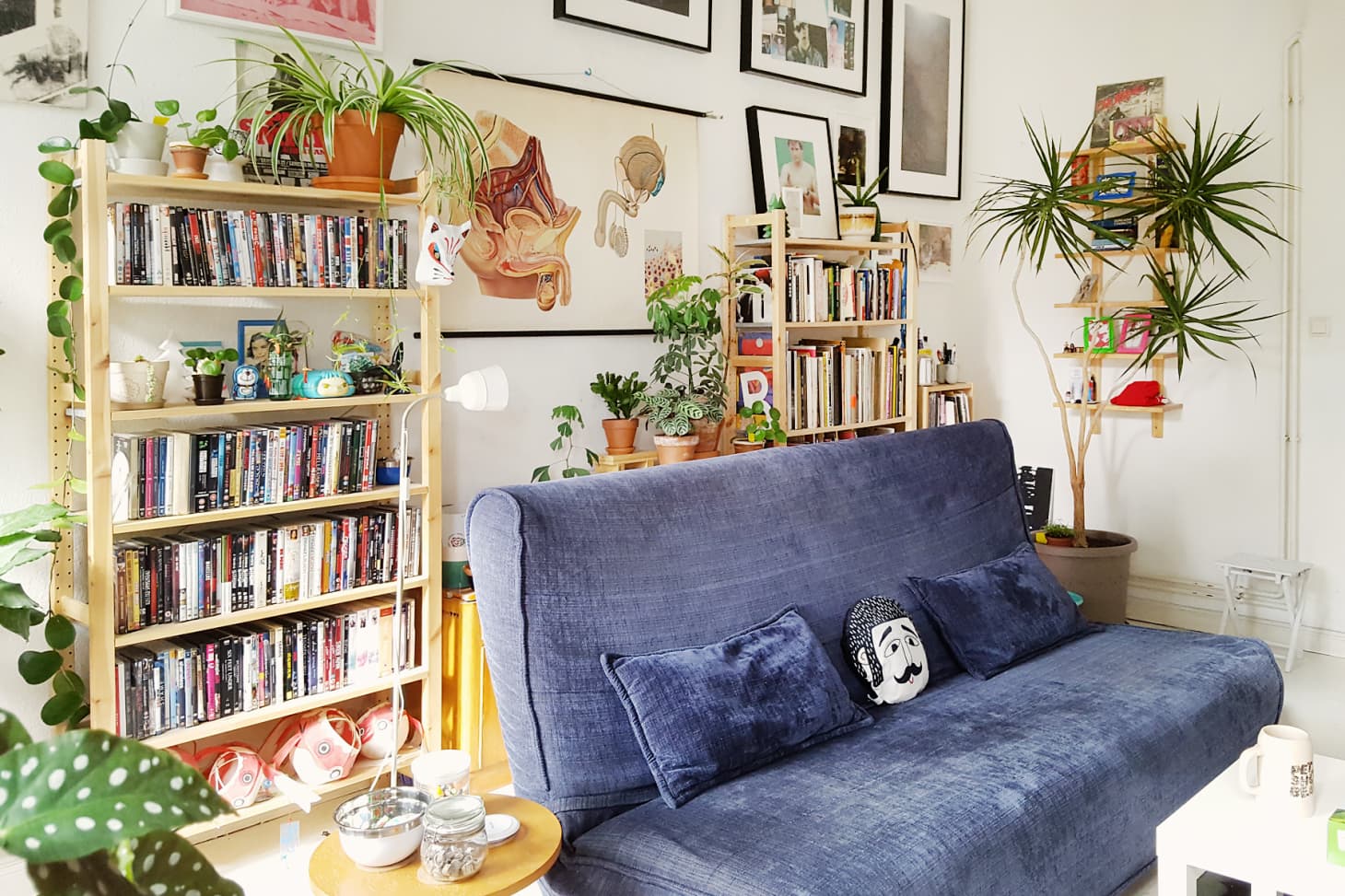 small living room apartment ideas