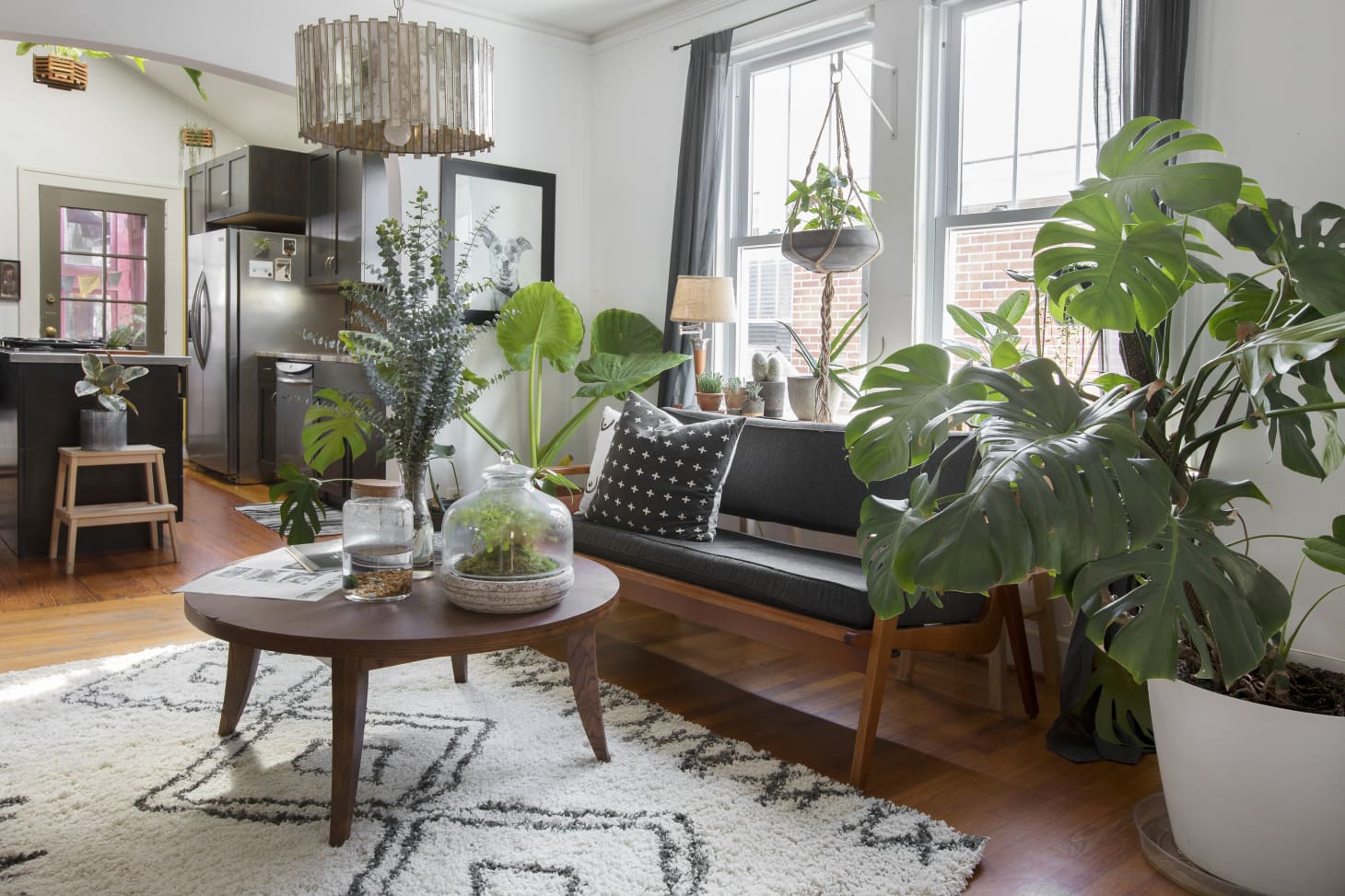 bohemian living room with plants