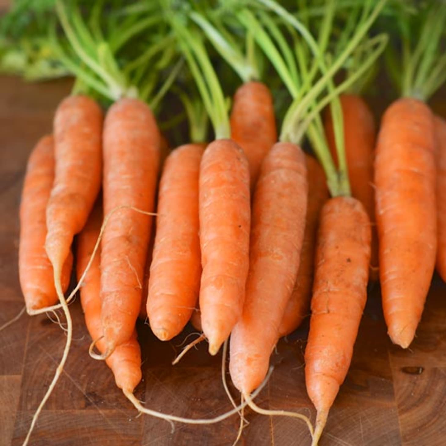 Включи морковь про новый. Морковь бейби хит. Морковь новый урожай. Морковь детская радость. Зеленая морковь.