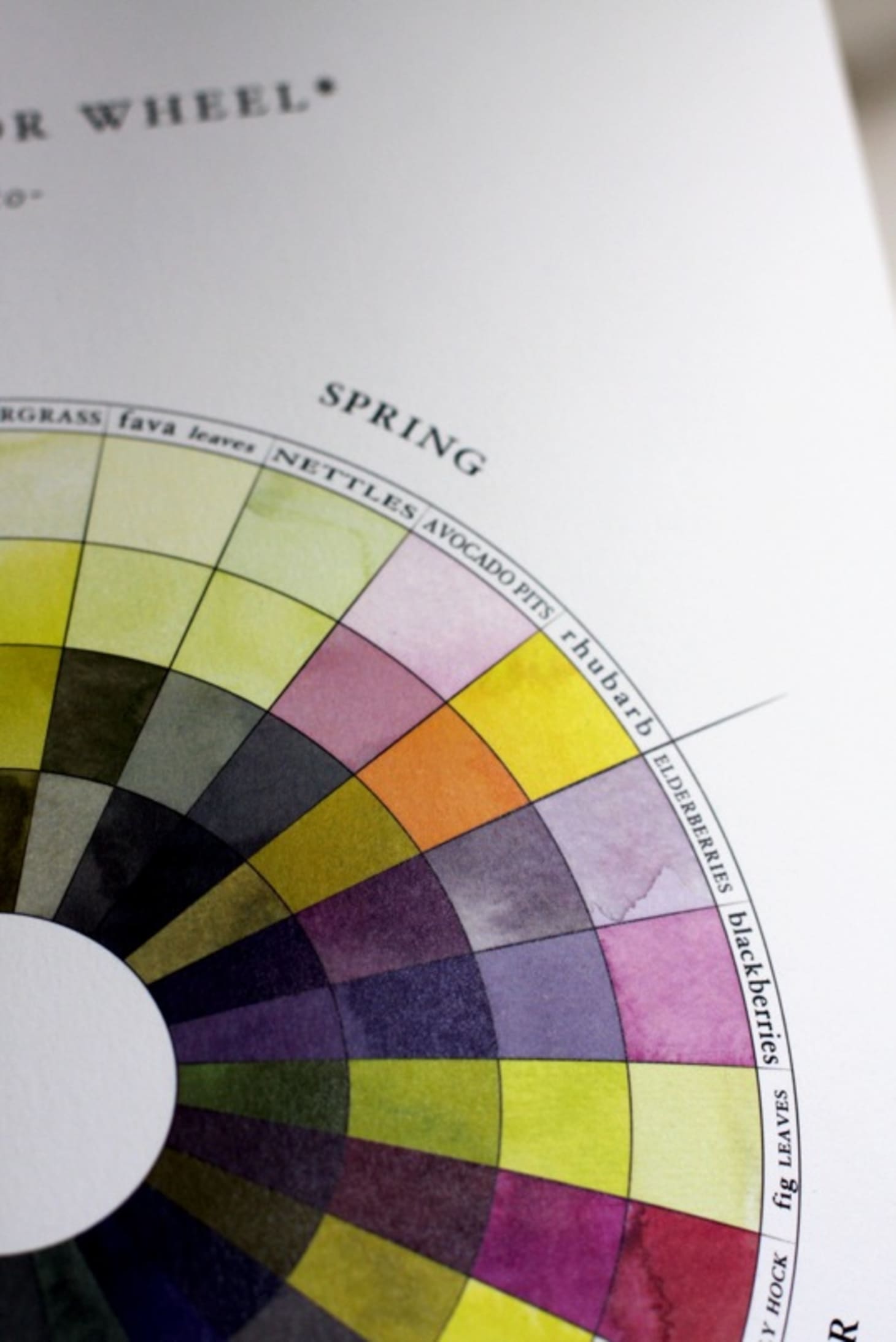 The Seasonal Color Wheel A Guide to Natural Dyes Made From Seasonal