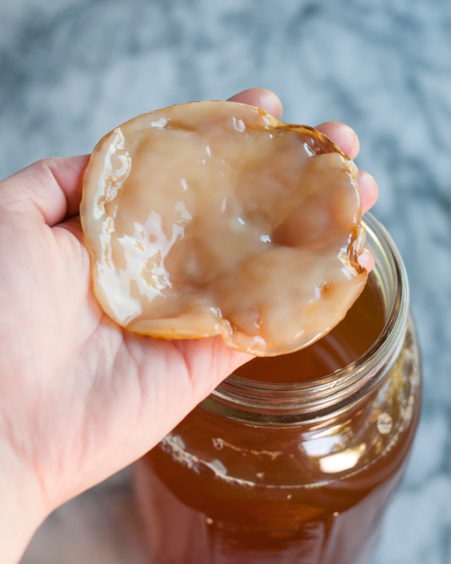 How To Make Your Own Kombucha Scoby | Kitchn