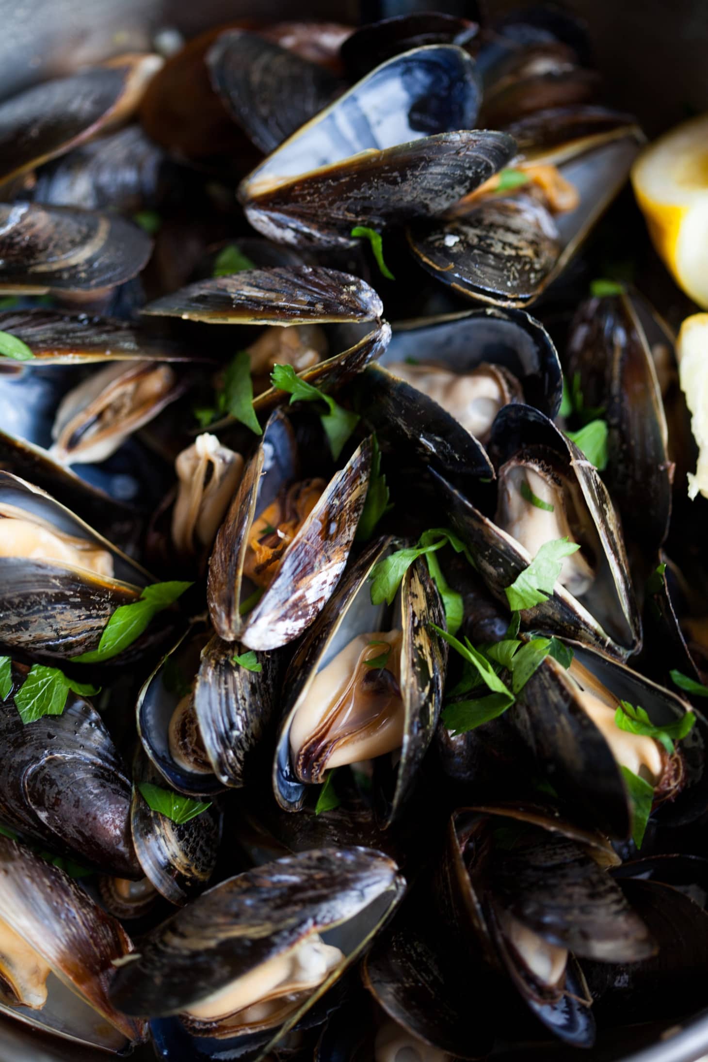 How To Cook Mussels on the Stovetop Kitchn