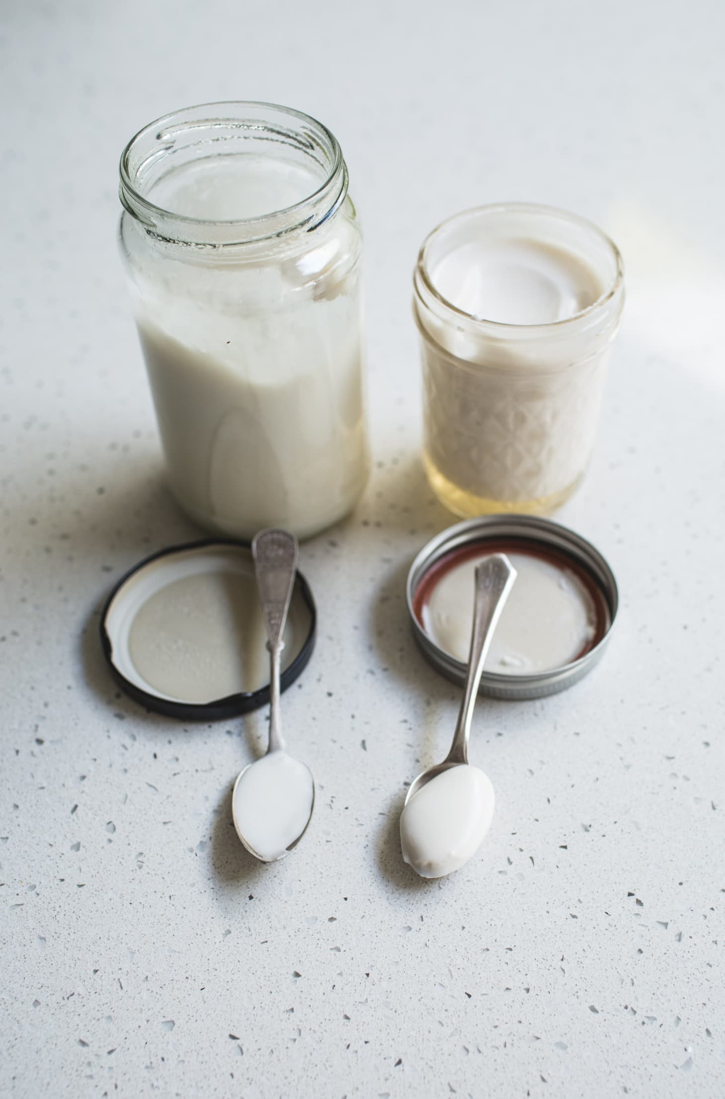 How To Make DairyFree Coconut Yogurt Kitchn
