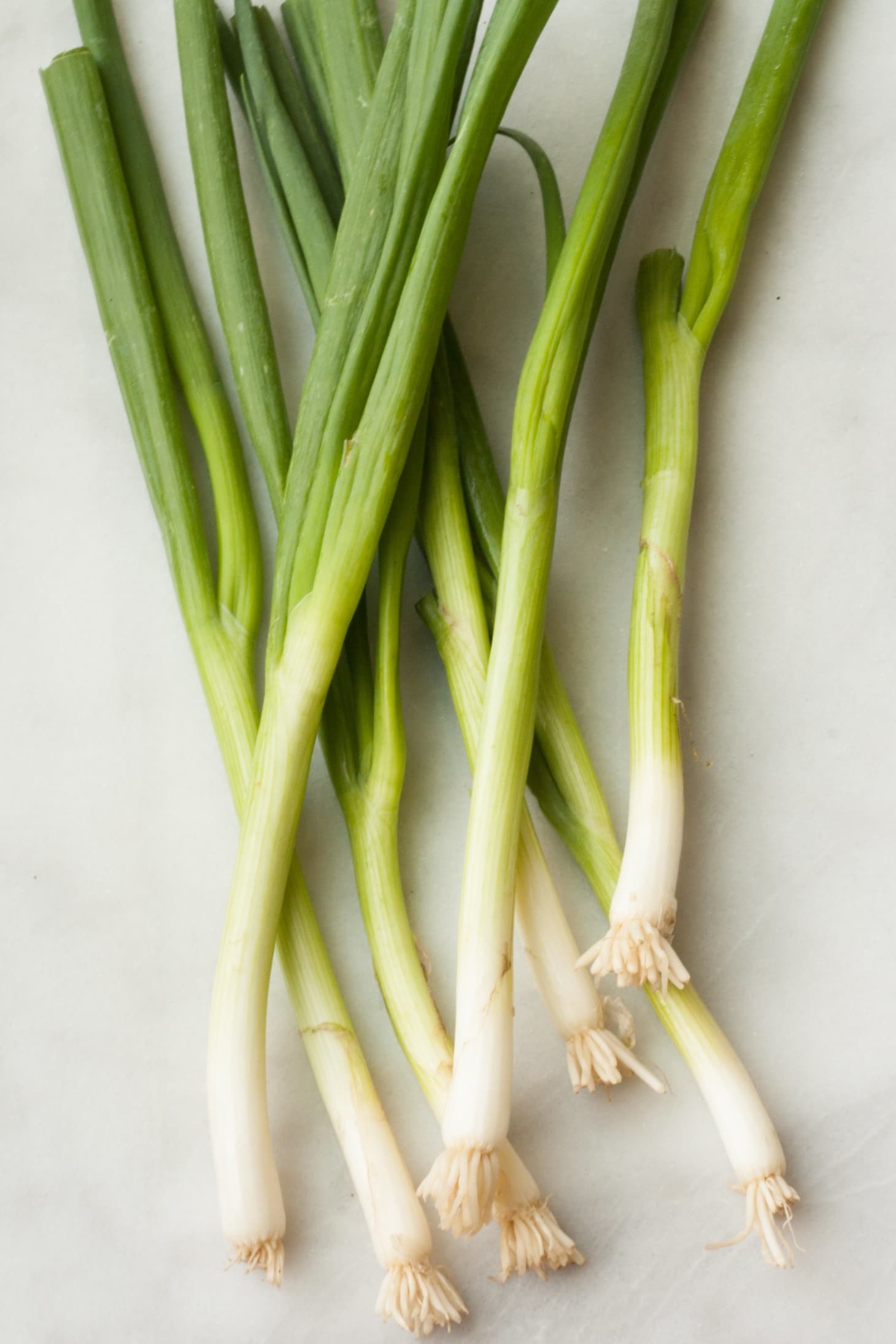 Difference Between Scallions and Green & Spring Onions Kitchn