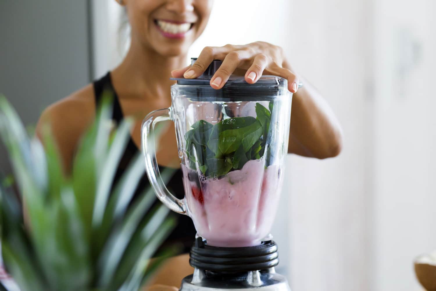 Affordable Quality 9 TopRated Blenders Under 200 Apartment Therapy