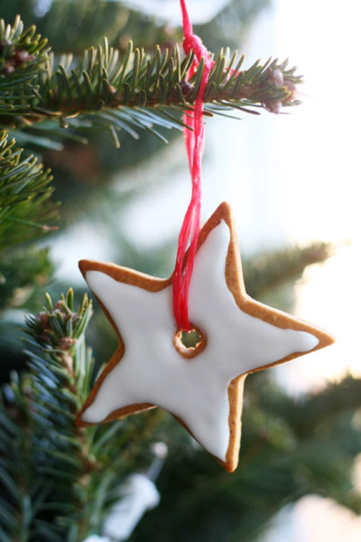 How To Make Gingerbread Christmas Tree Ornaments | Kitchn