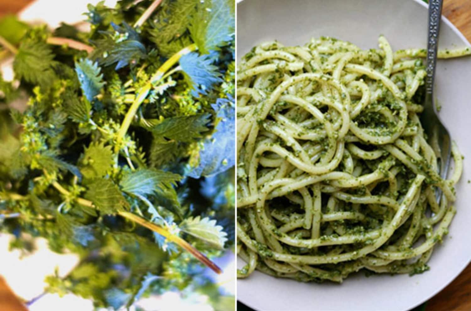 Stinging Nettles 8 Recipes for Spring Cooking Kitchn