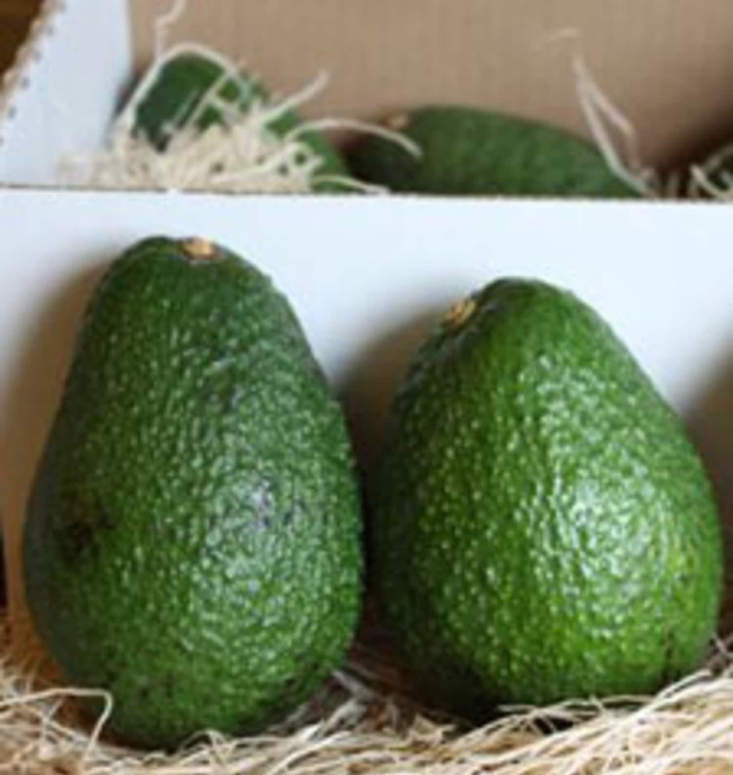 Best Place to Store Avocados? In the Refrigerator Kitchn