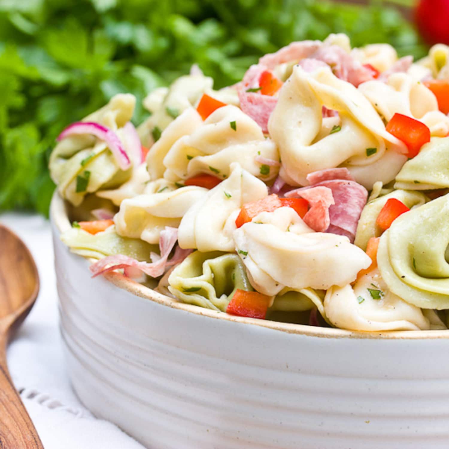 Recipe: Zesty Tortellini Salad | Kitchn