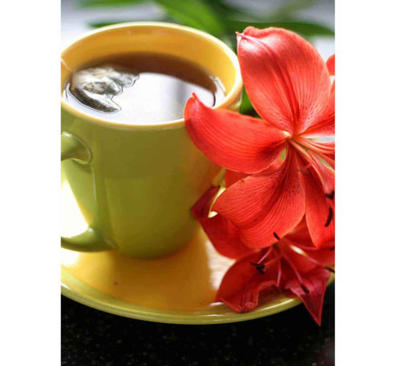 Caffeine-Free Hot Drinks: 5 Alternatives to Coffee and Tea ...