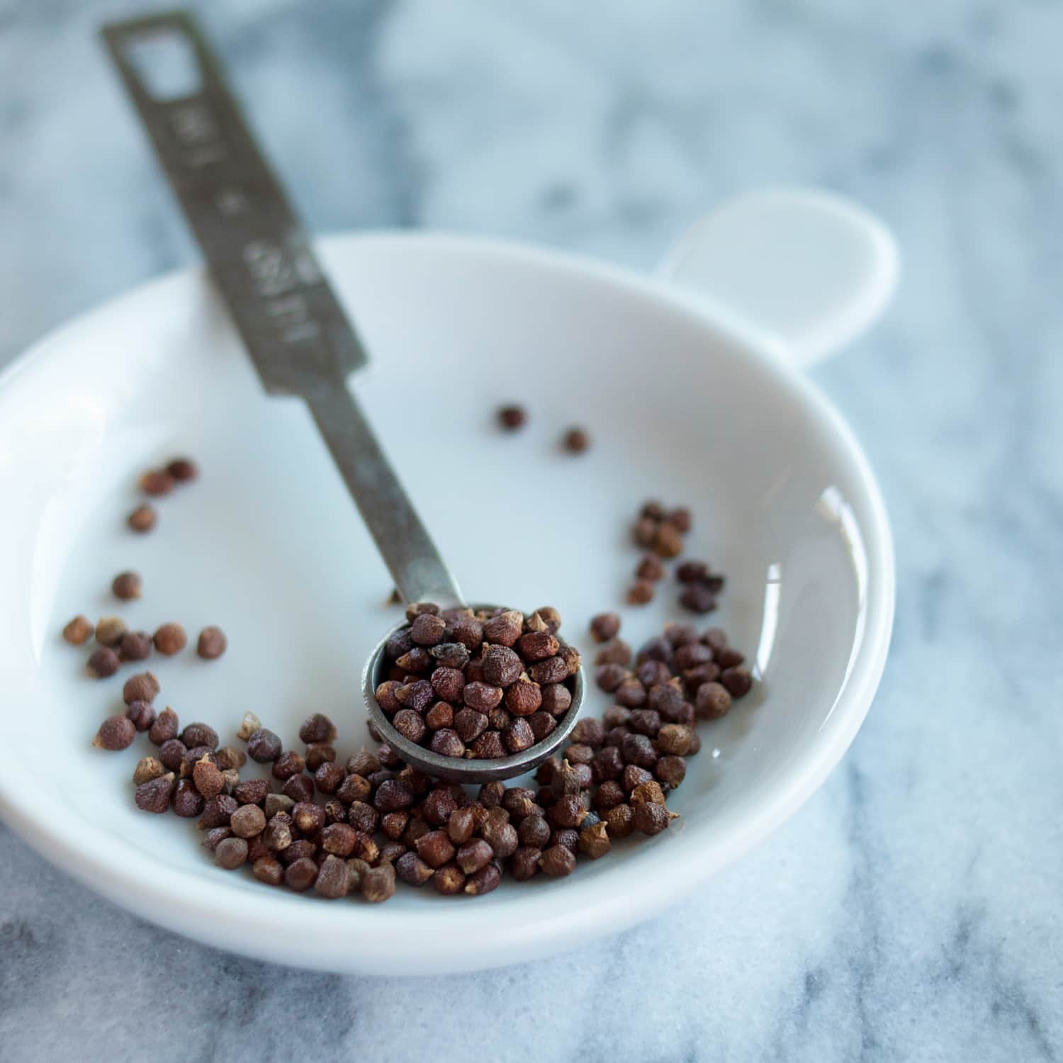 Grains of Paradise Are The Best Spice You’ve Never Heard Of Kitchn