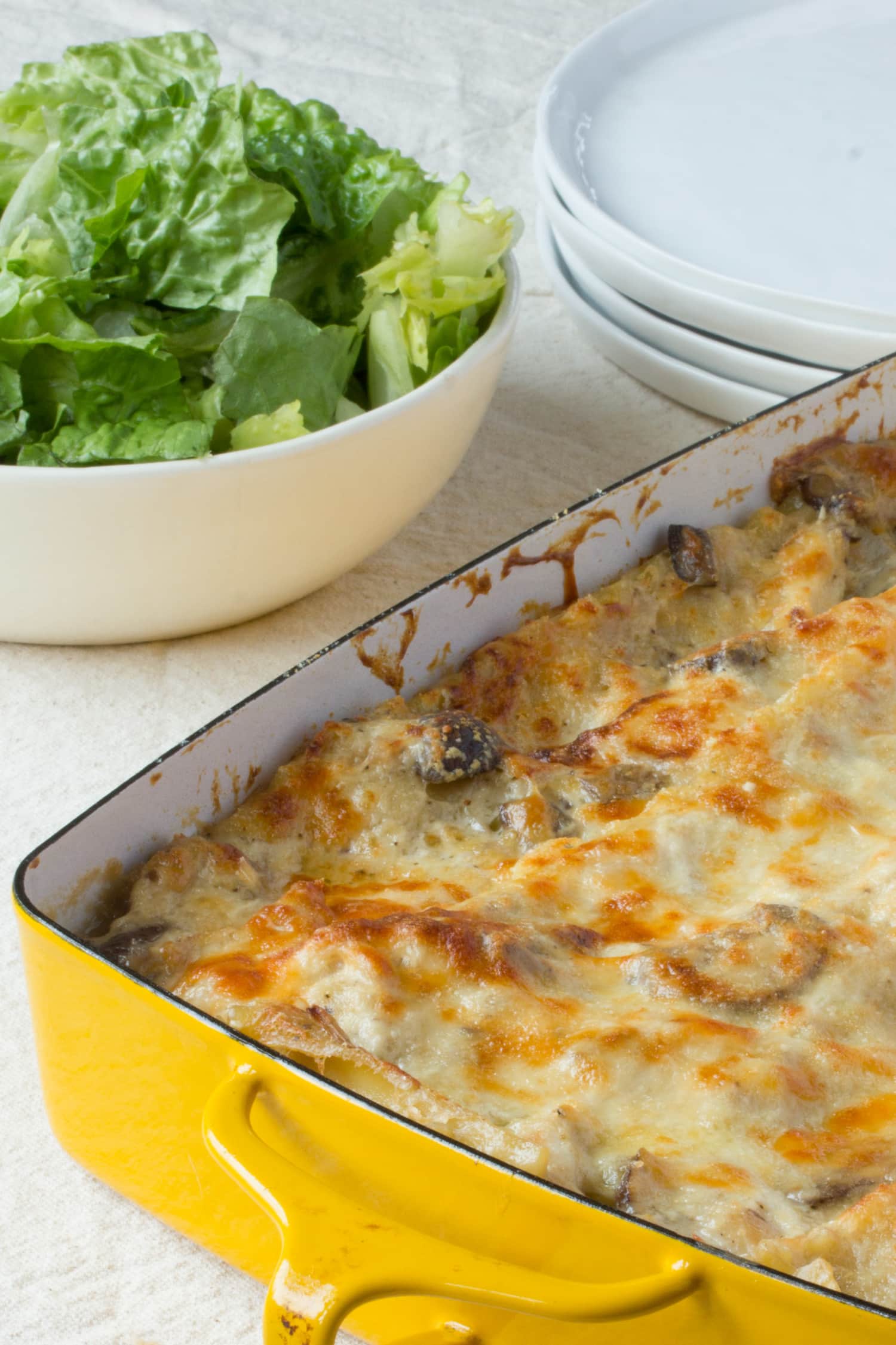 Cold Weather Recipe: Cheesy Chicken and Mushroom Lasagna ...